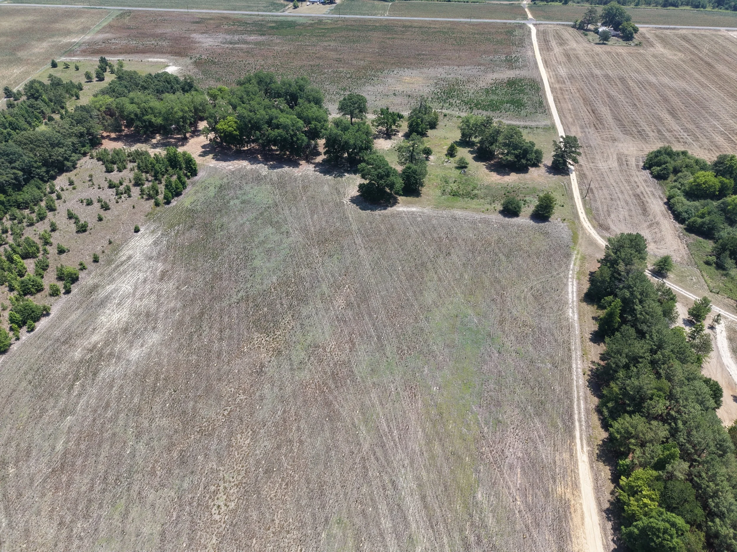 DJI_20260703121103_0730_D.JPG