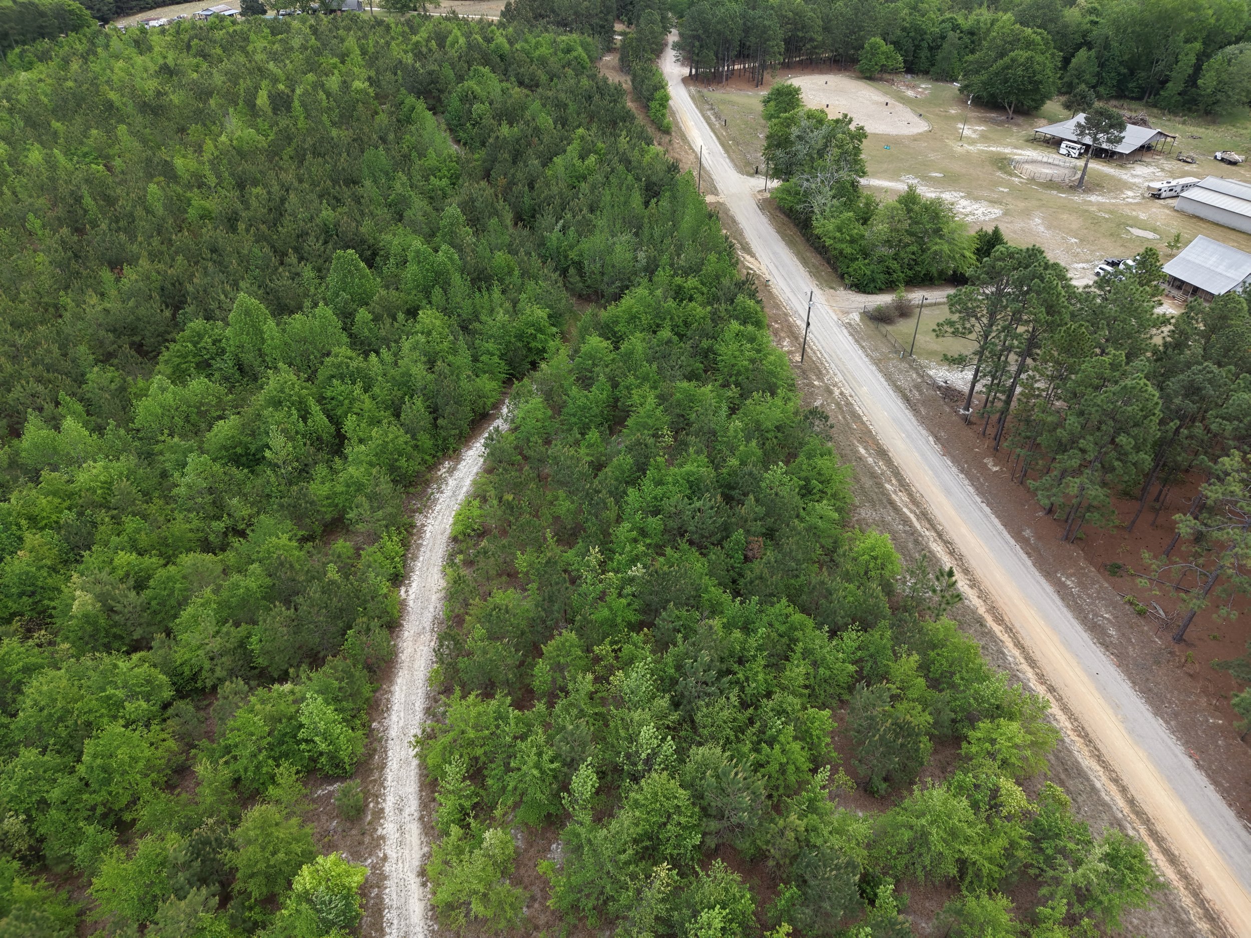 DJI_20260419105257_0032_D.JPG