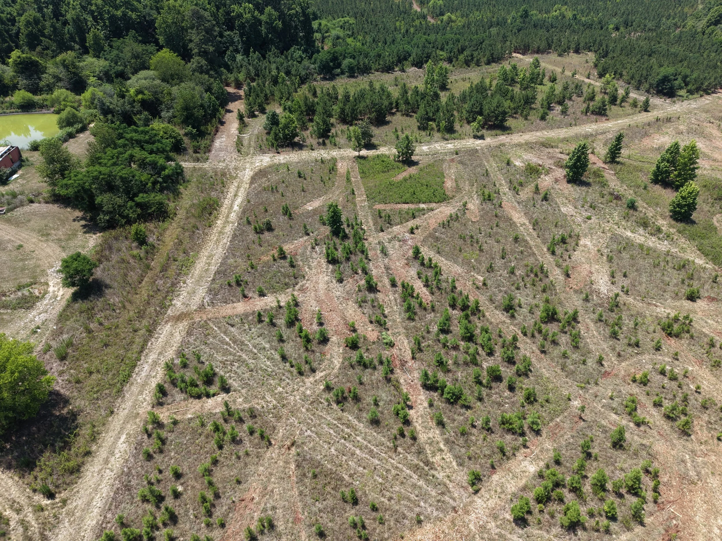 DJI_20260703121003_0711_D.JPG