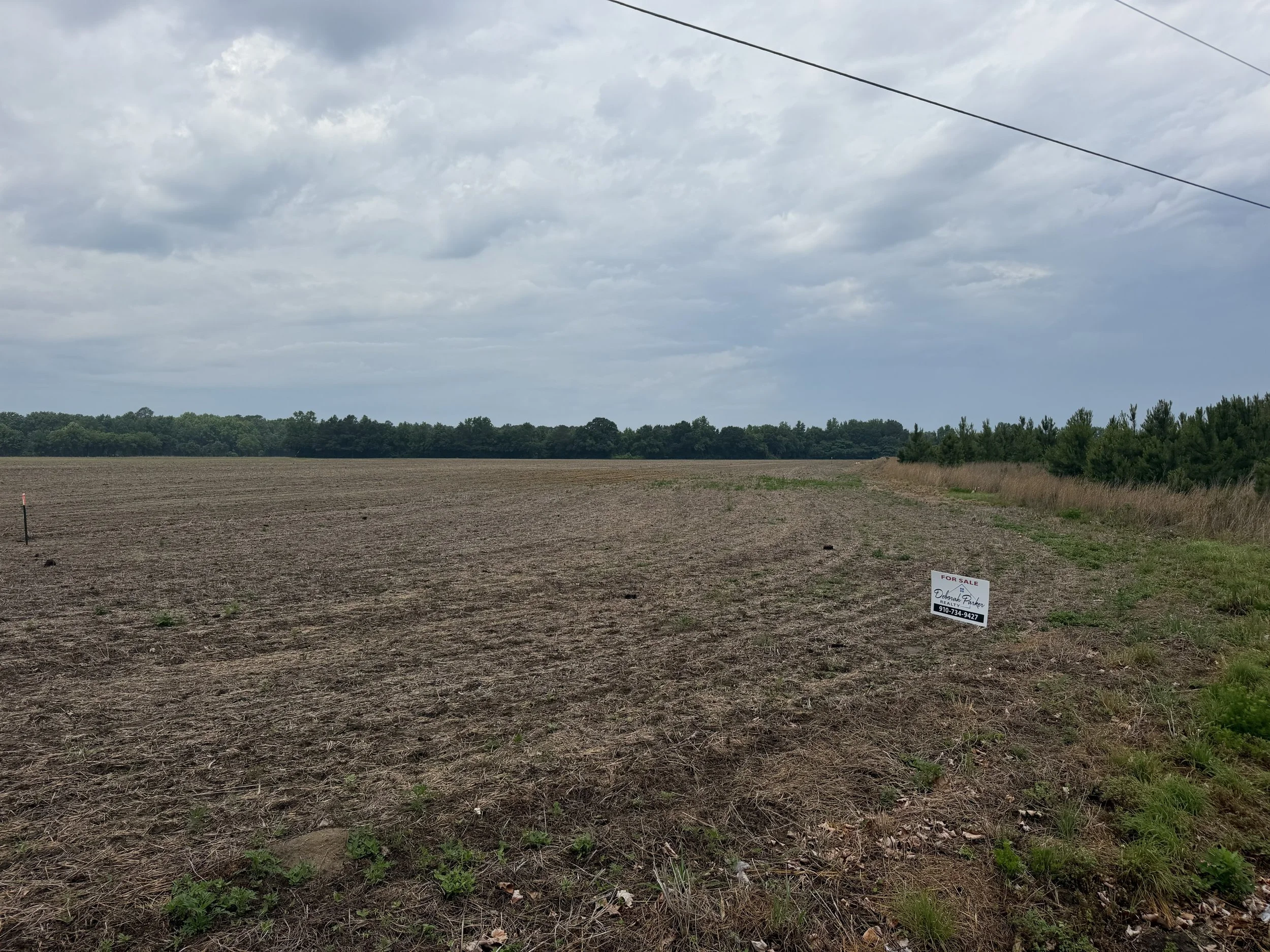 IMG_4458 fairley rd 2.jpg
