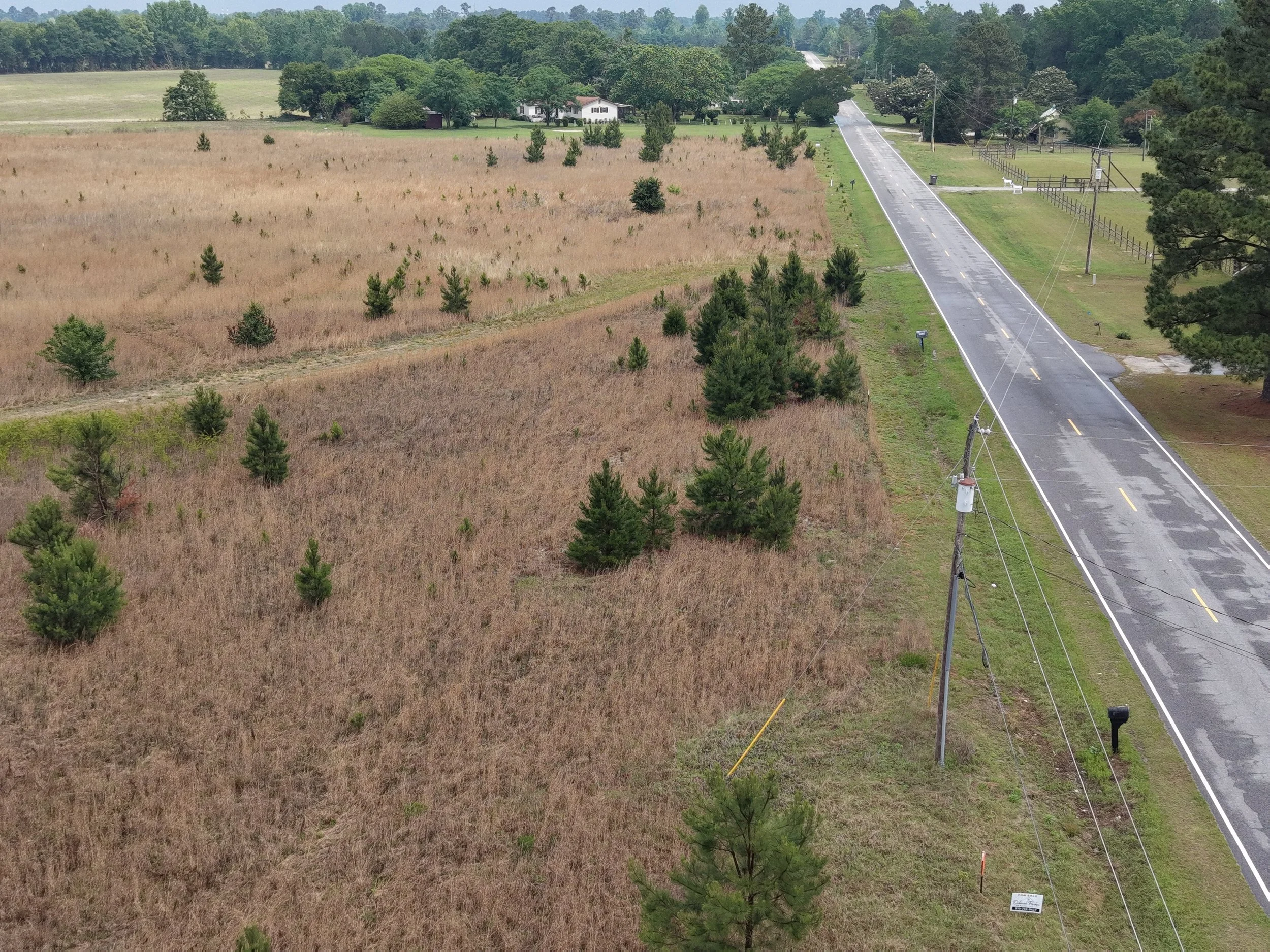 DJI_20260511115756_0312_D.JPG