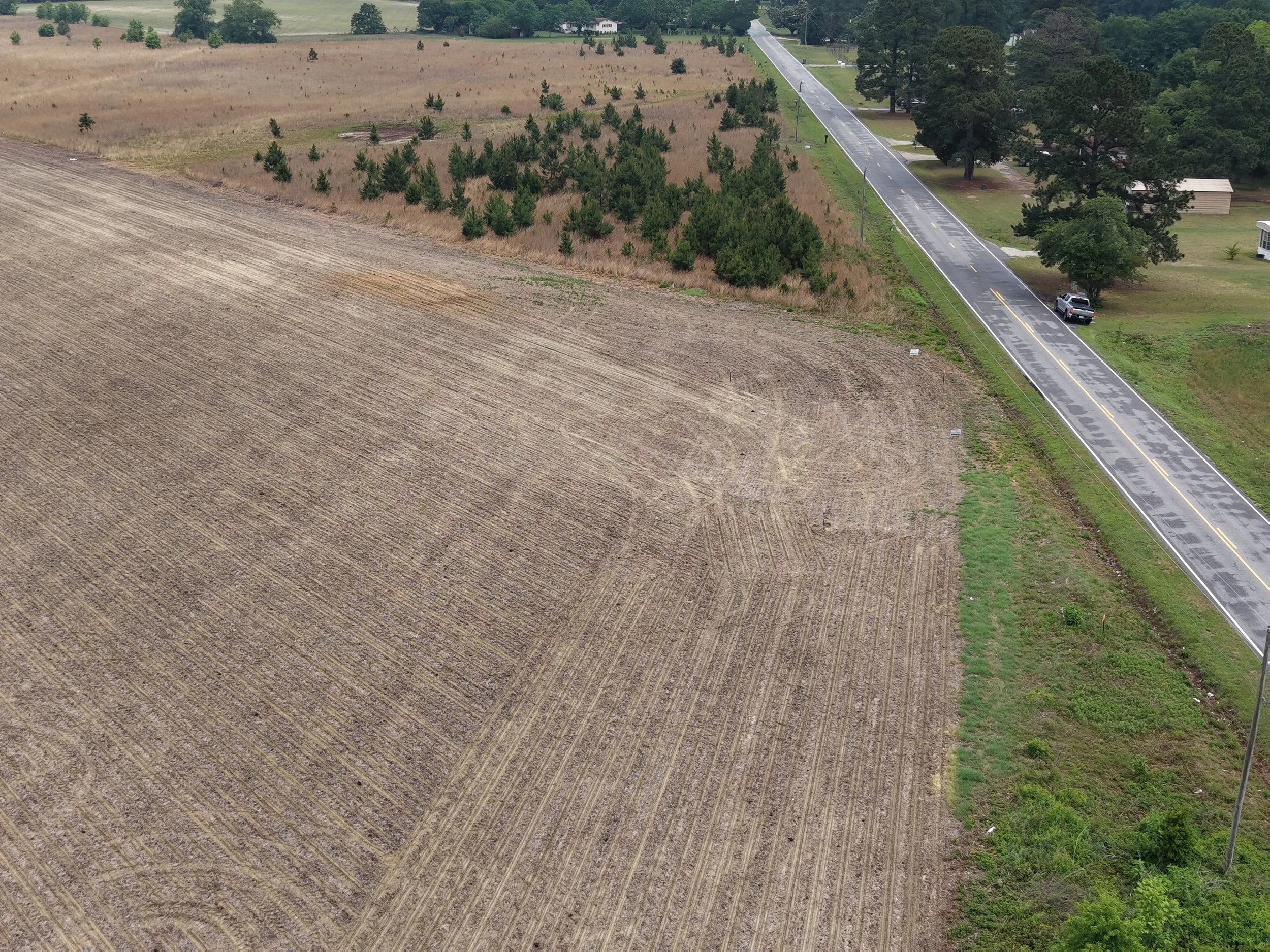 DJI_20260511115710_0302_D.JPG
