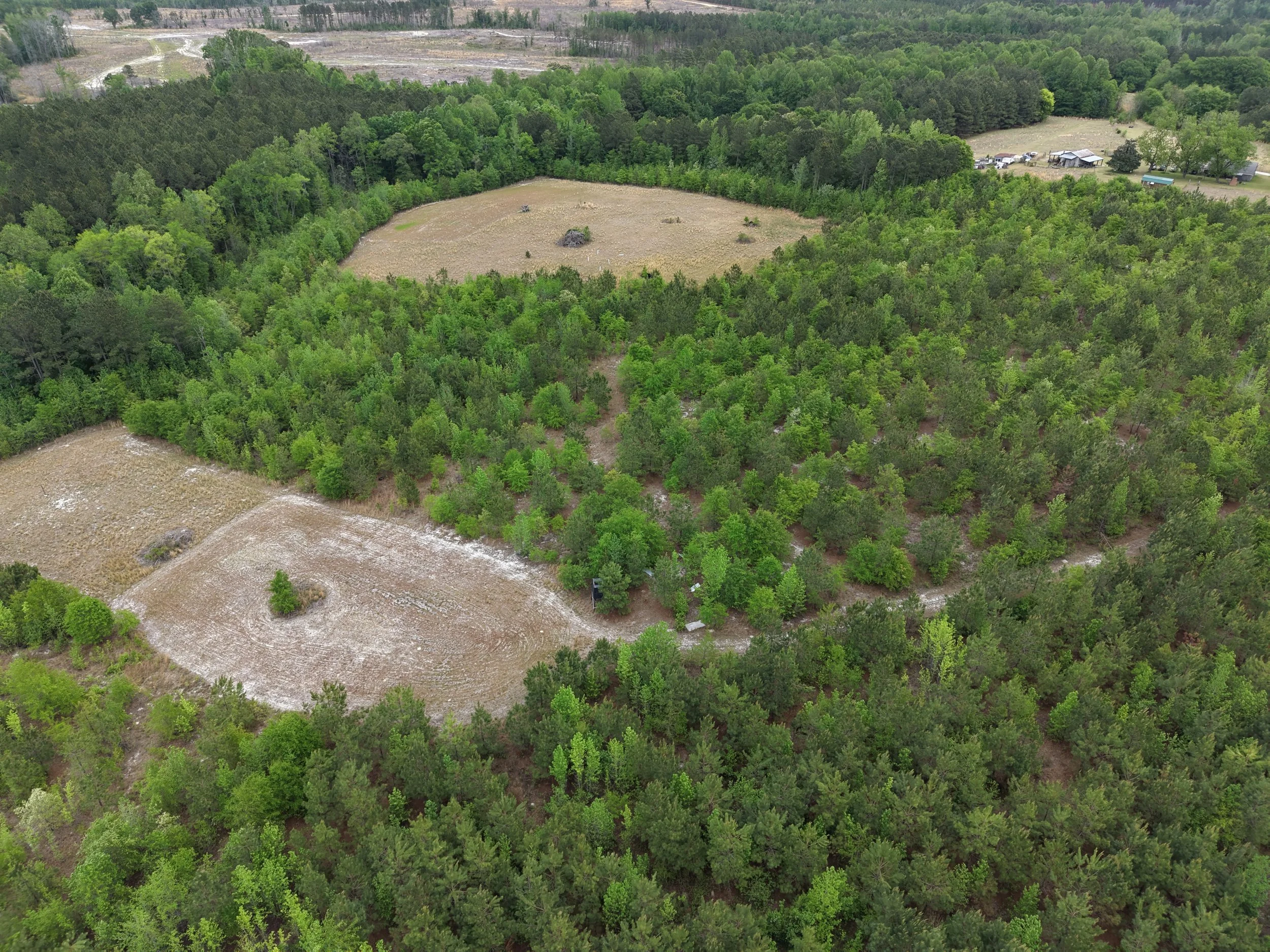 DJI_20260419105338_0042_D.JPG