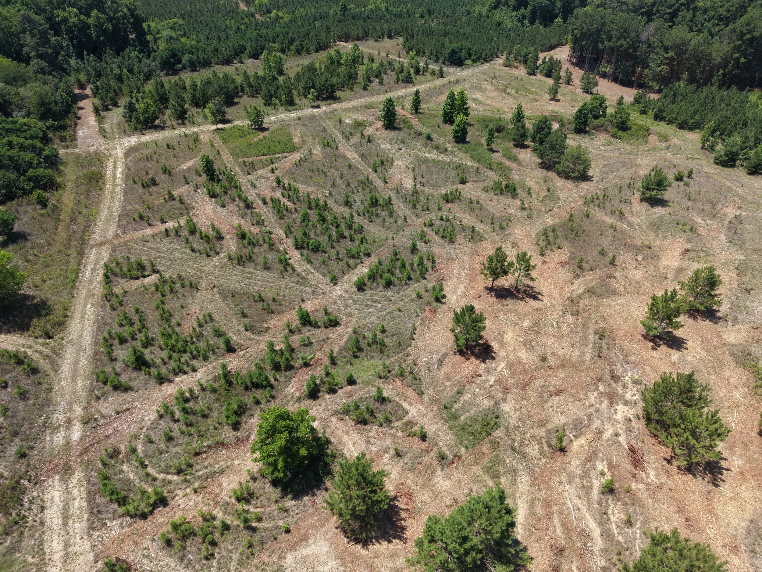 DJI_20260703120958_0710_D.JPG