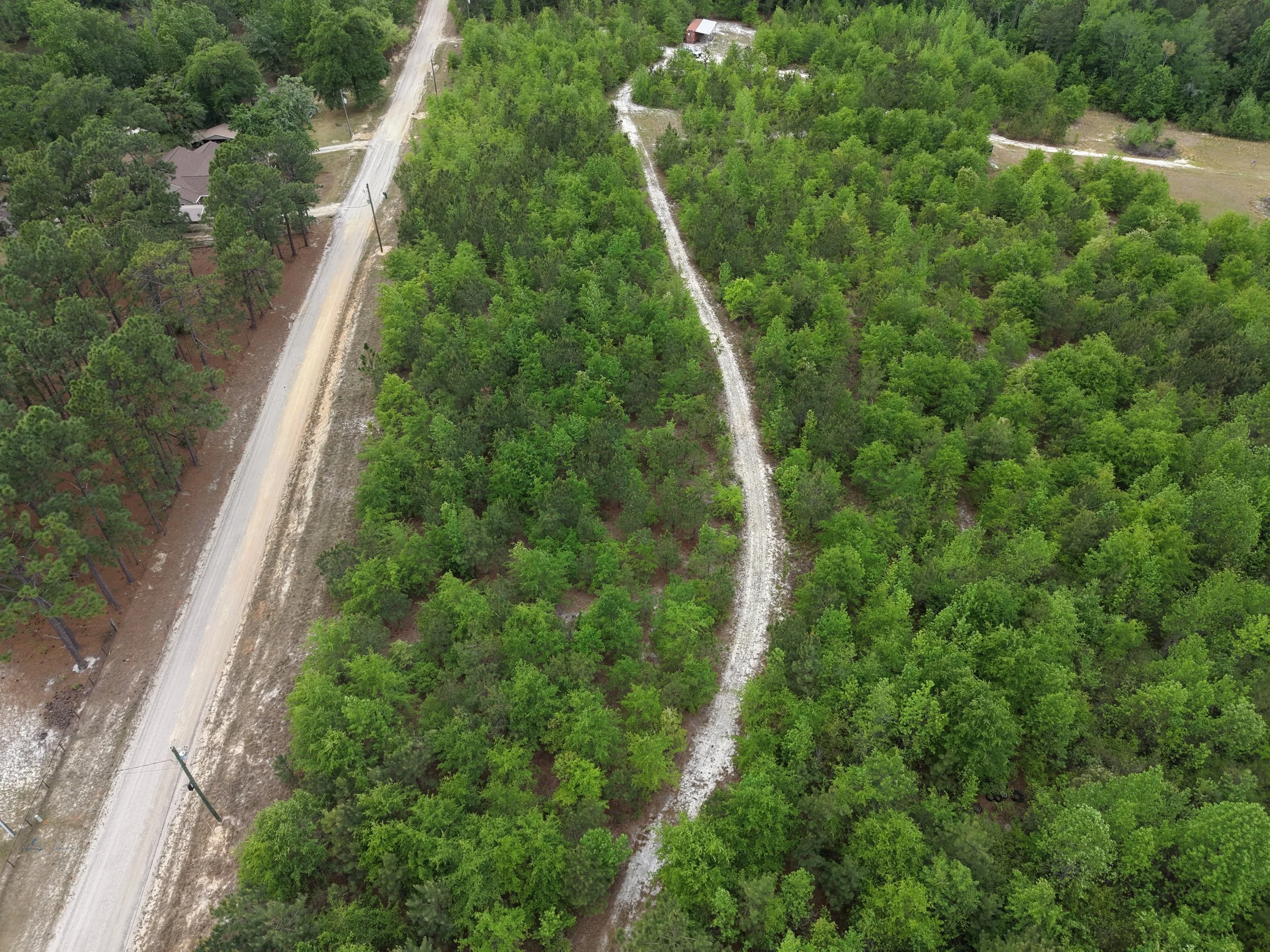 DJI_20260419105316_0037_D.JPG