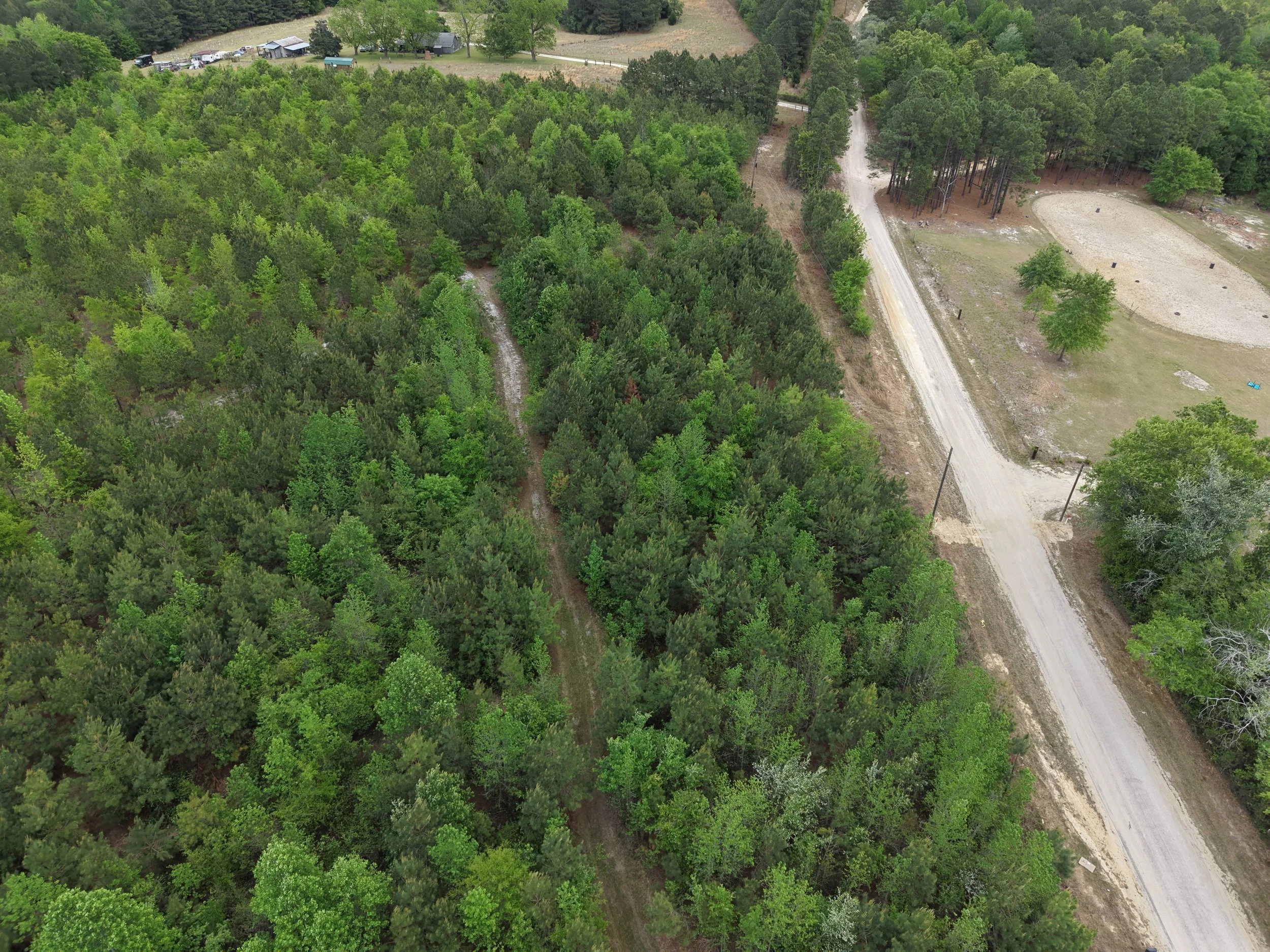 DJI_20260419105303_0034_D.JPG