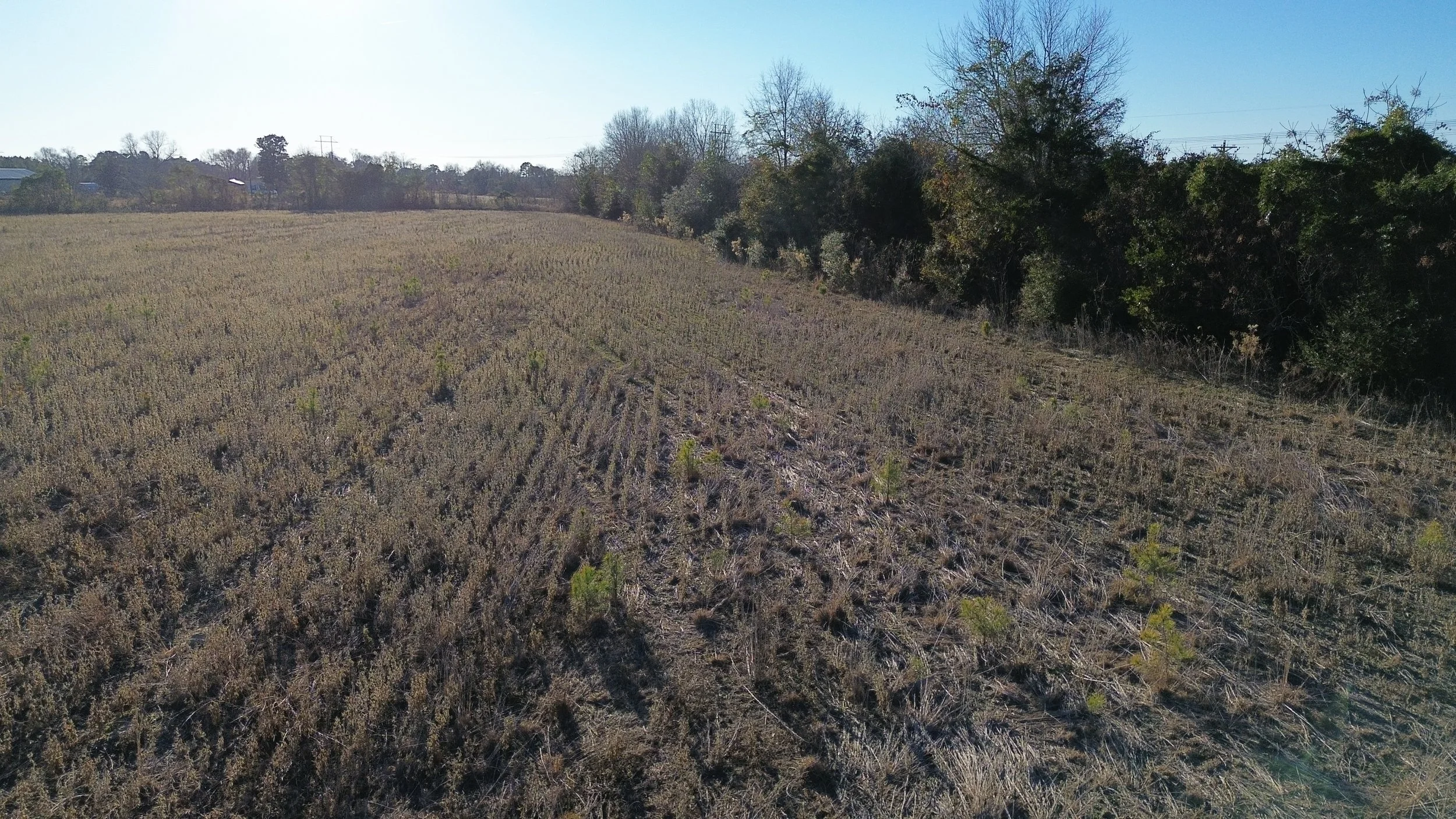 DJI_0217.JPG