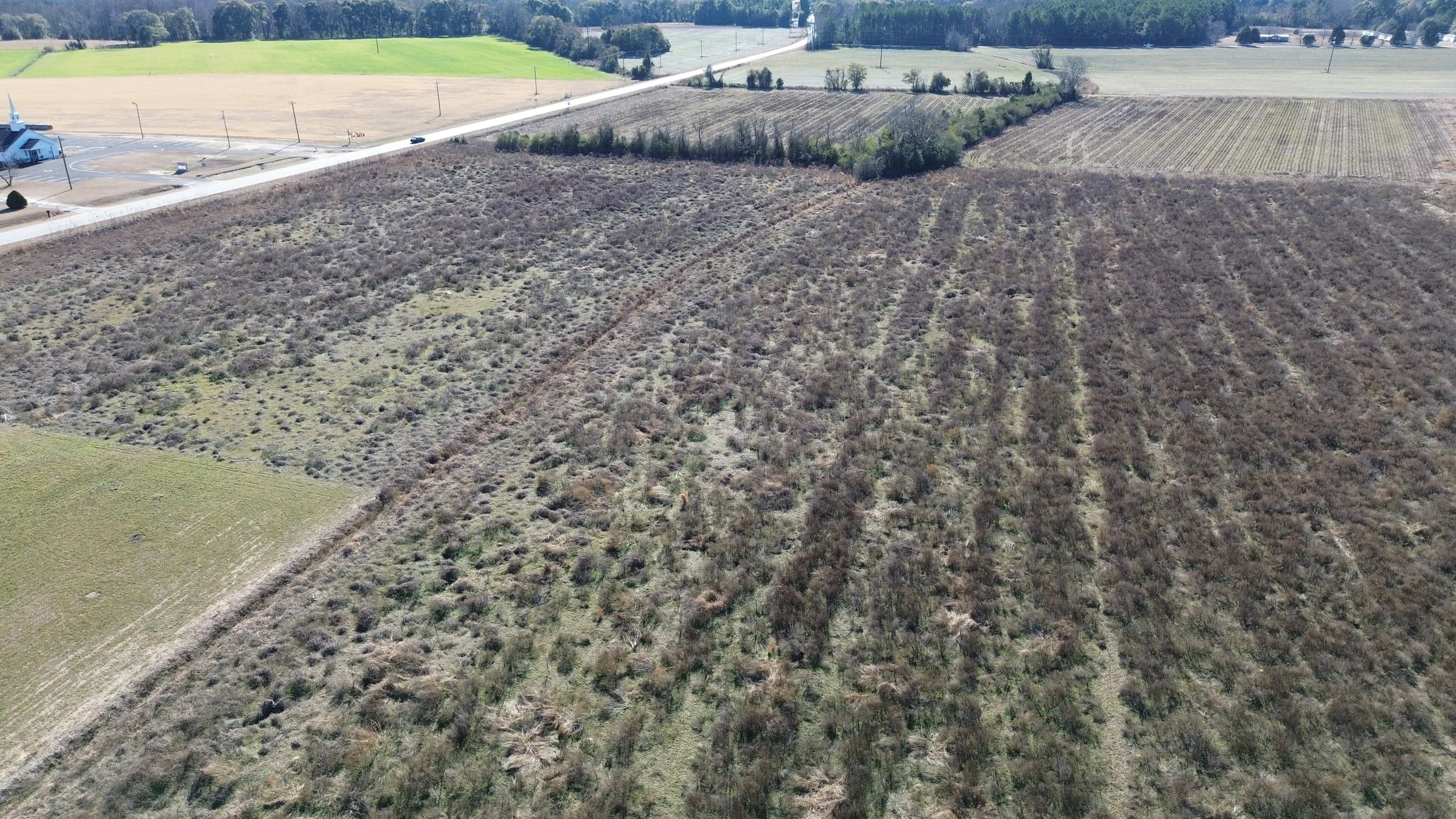 DJI_0051.JPG