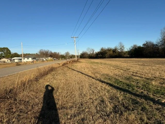 IMG_2291.jpeg