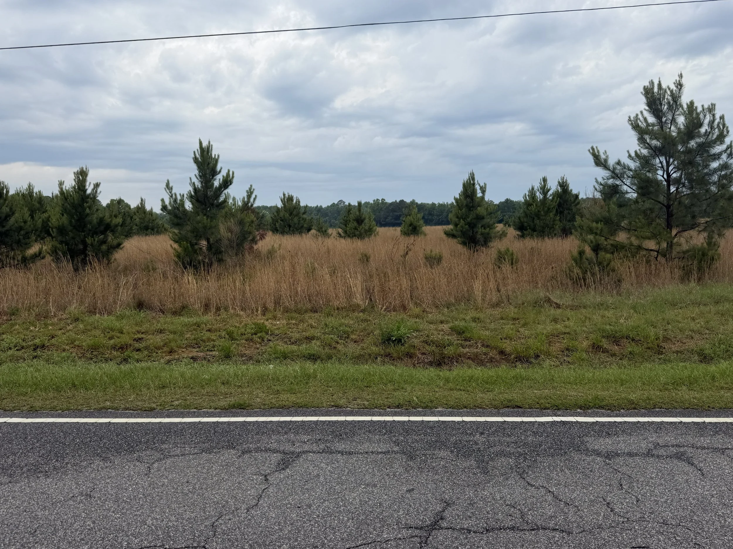 IMG_4479 fairly rd 9.jpg