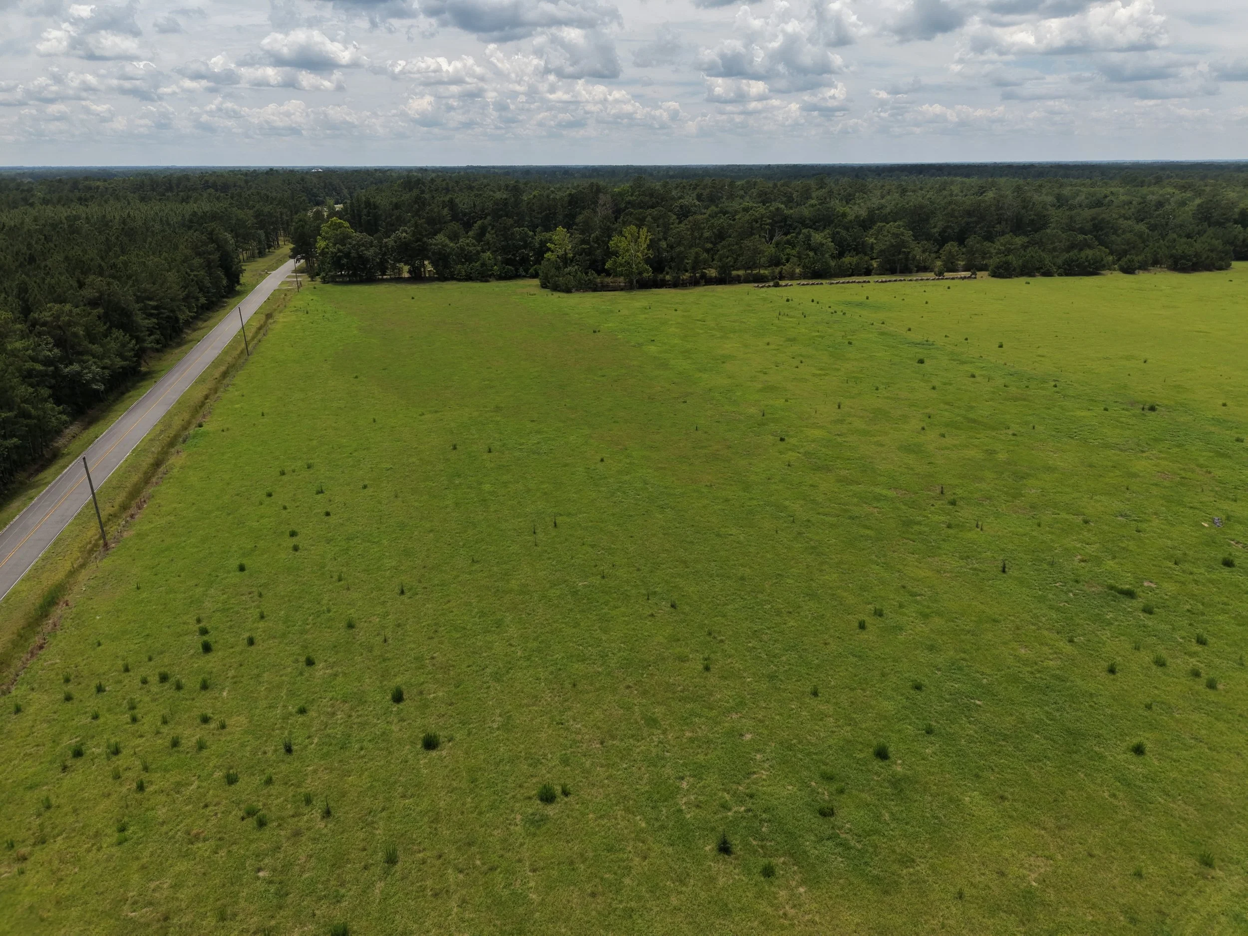 DJI_20260607134948_0505_D.JPG