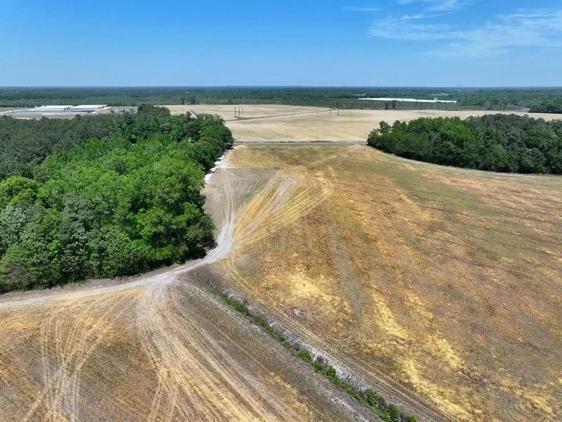 DJI_20260407060519_0775_D.JPG