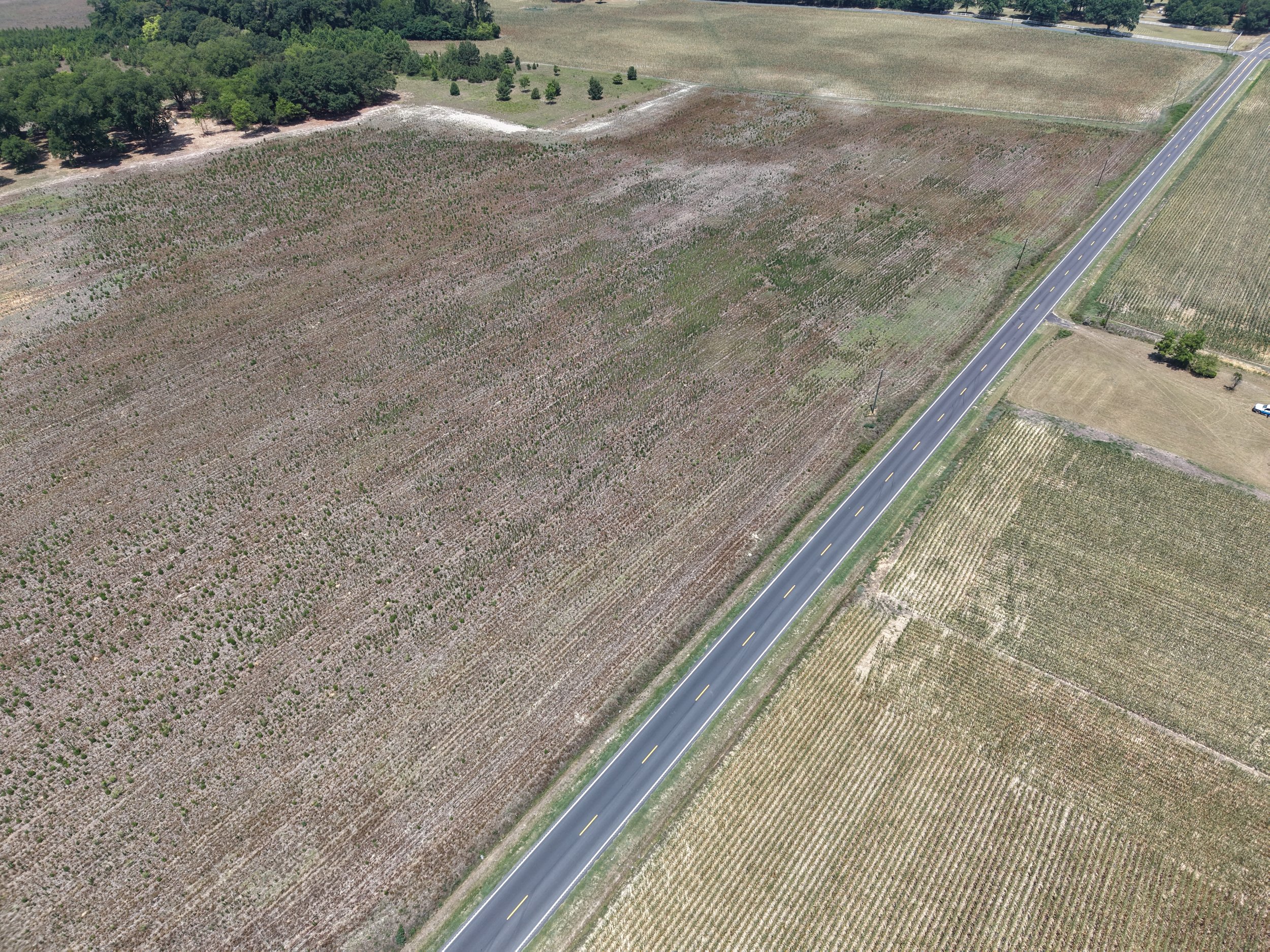 DJI_20260703122759_0797_D.JPG