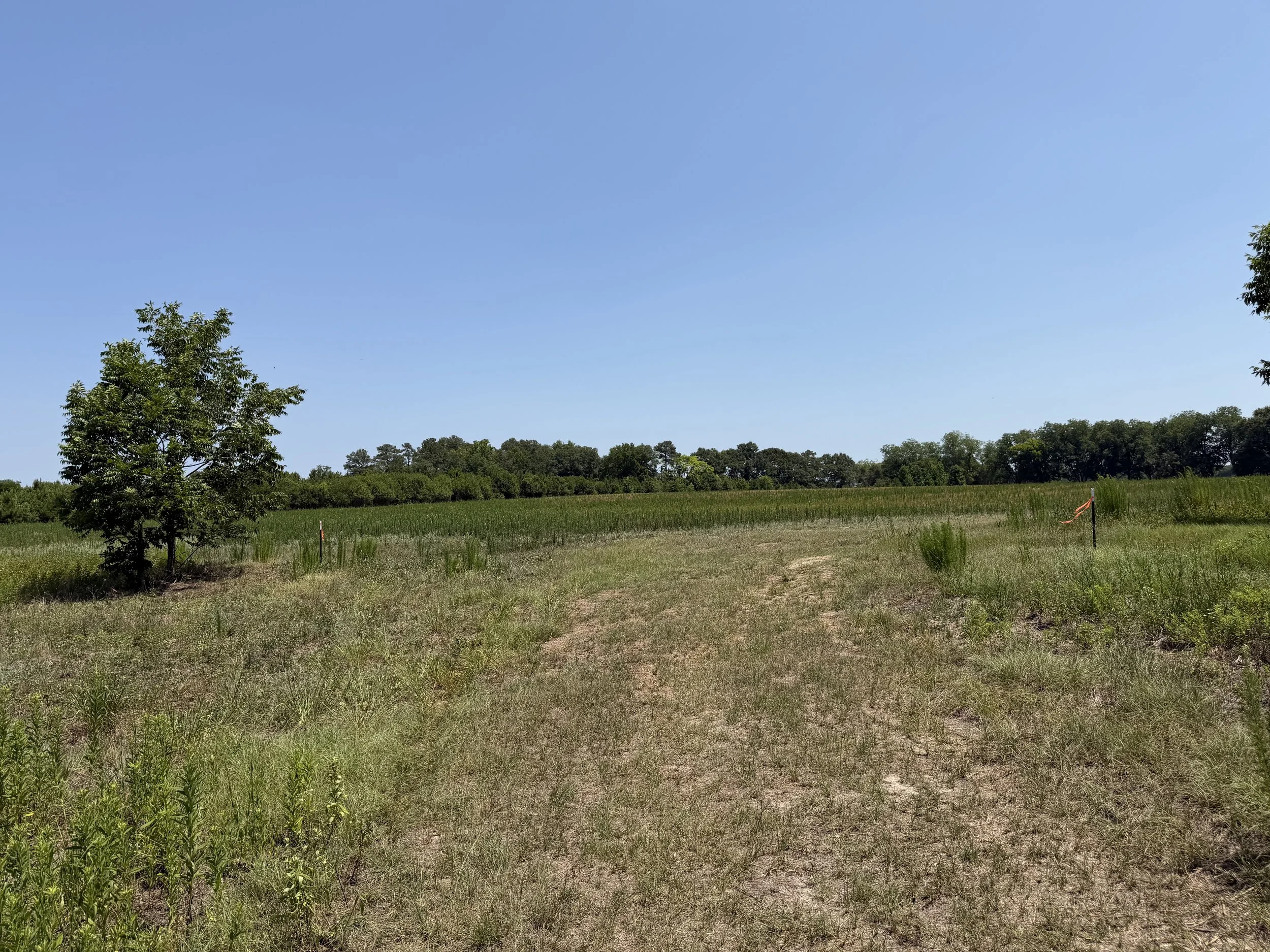 Lot 13 60.66 acres near Gibson North Carolina on SC - 385 Malboro County South Carolina