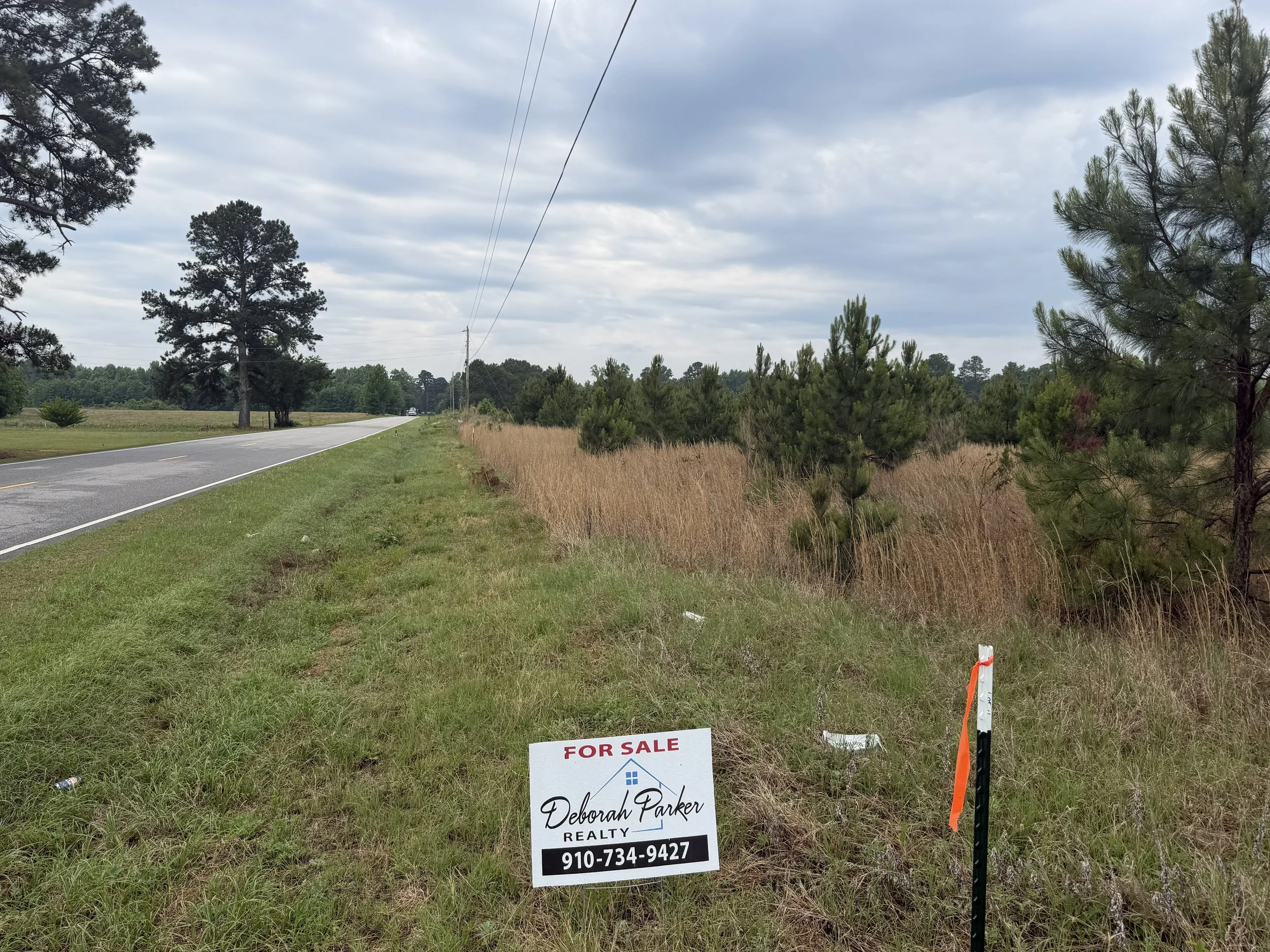 IMG_4485 fairly rd 10.jpg
