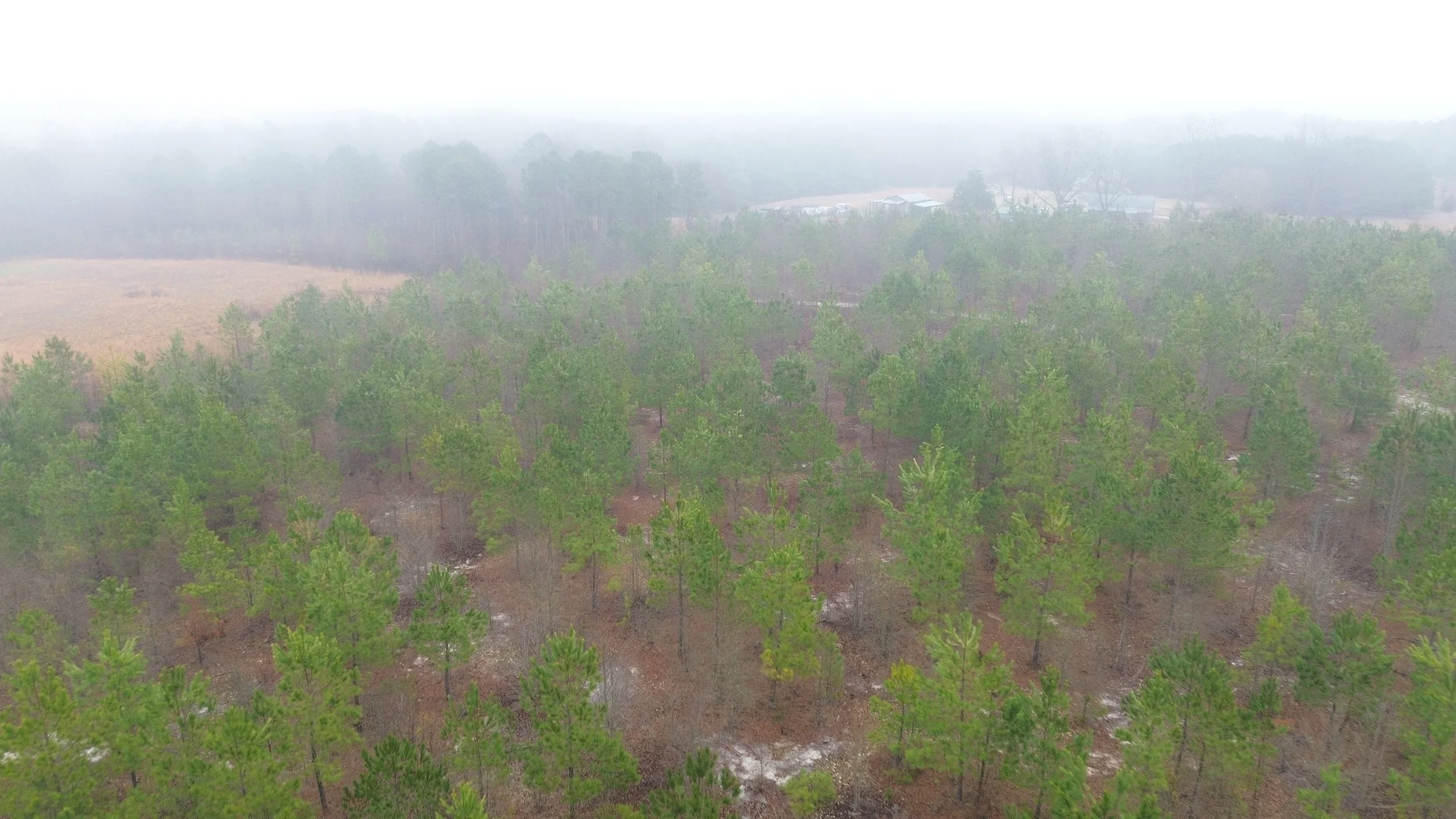 DJI_0580.JPG
