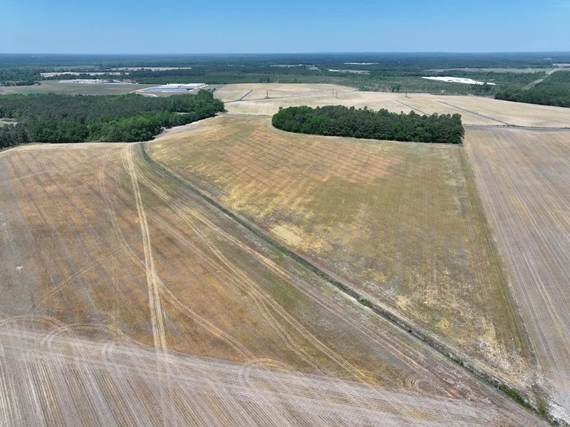 Tract 1 Hoke County 34 acres for sale.  Near Wagram and Raeford (under contract)