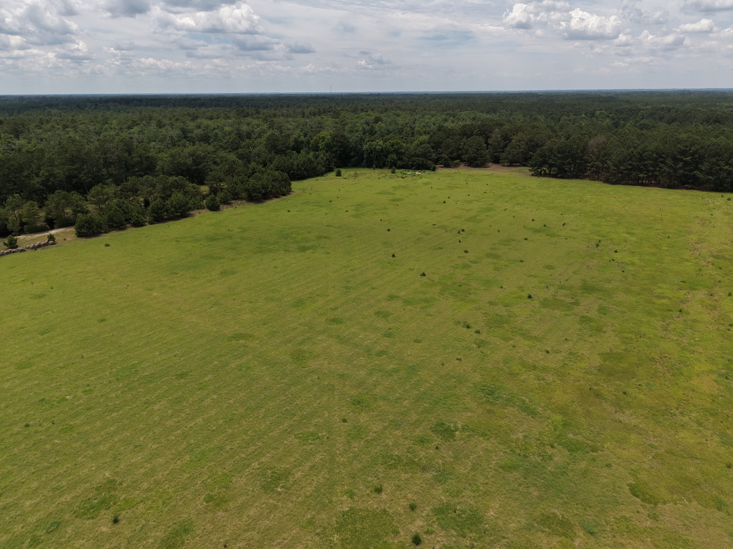DJI_20260607135008_0509_D.JPG