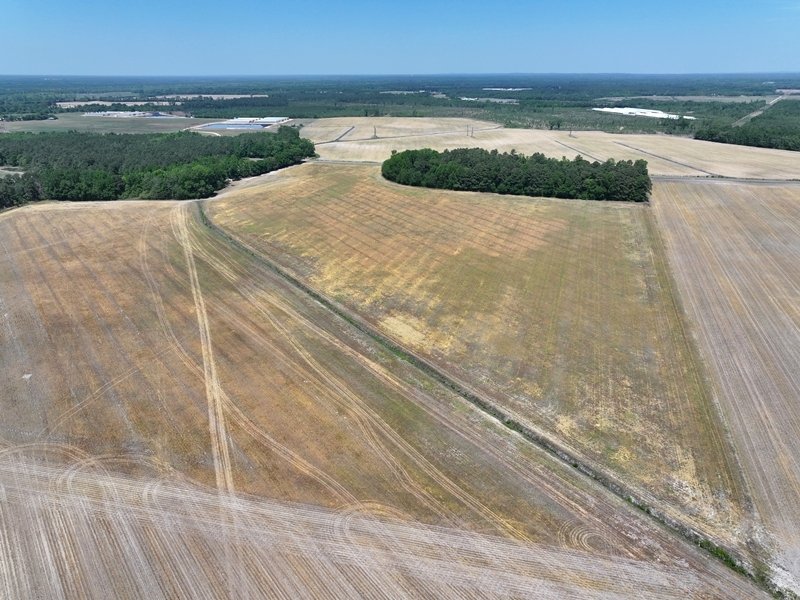 DJI_20260407055725_0765_D.JPG