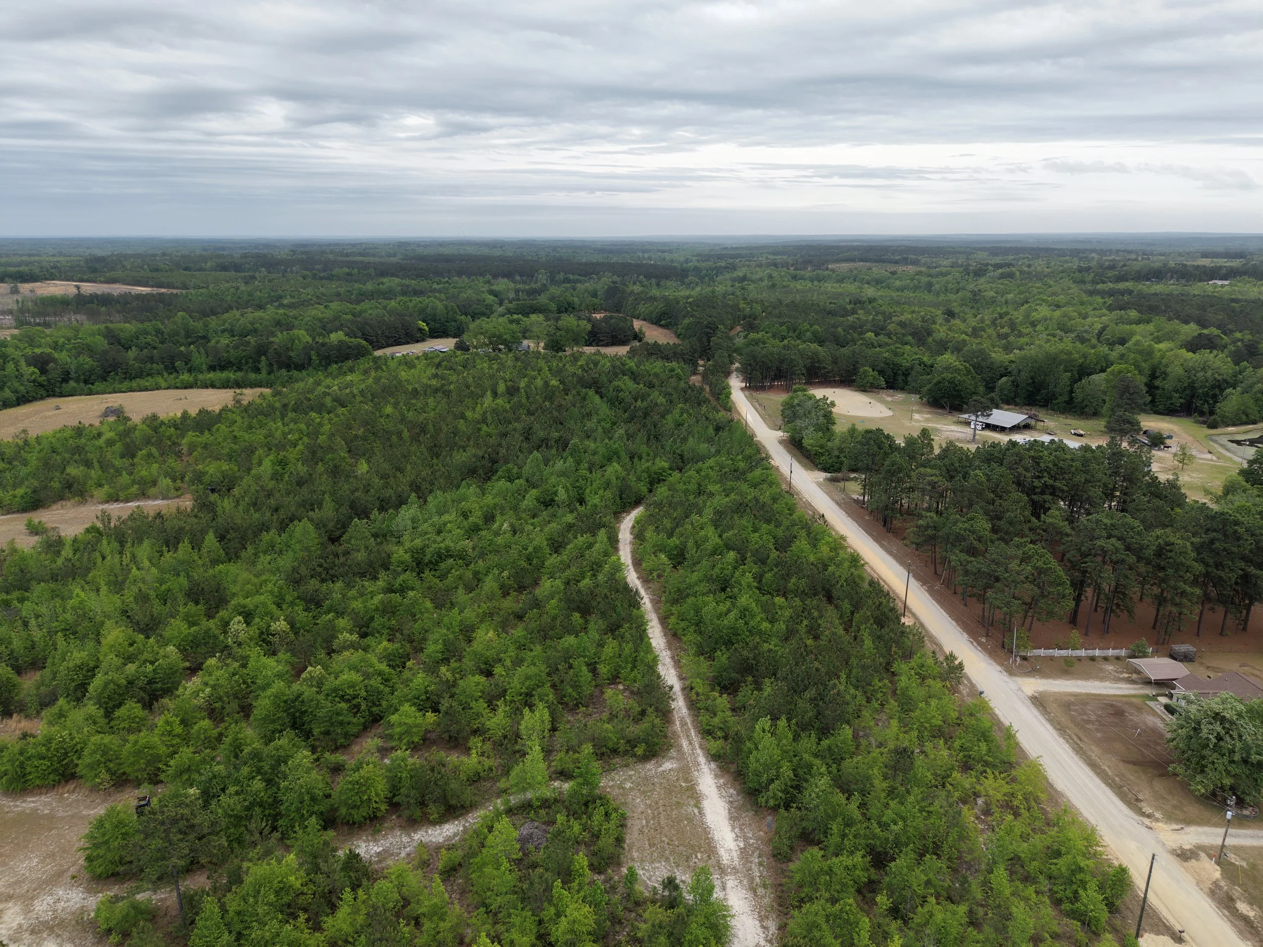 DJI_20260419110037_0092_D.JPG