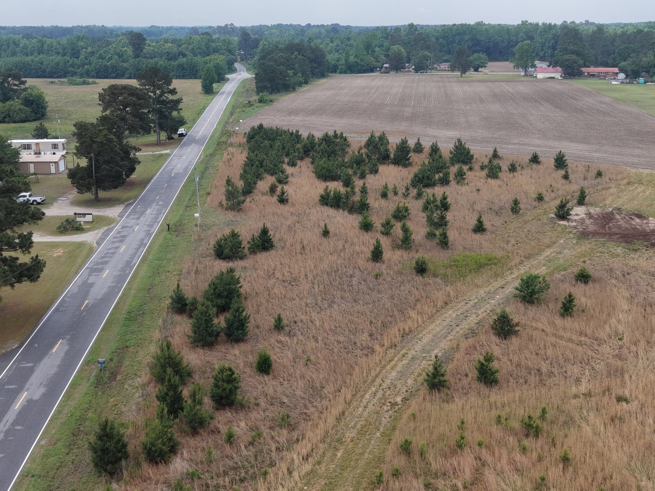 DJI_20260511115904_0327_D.JPG