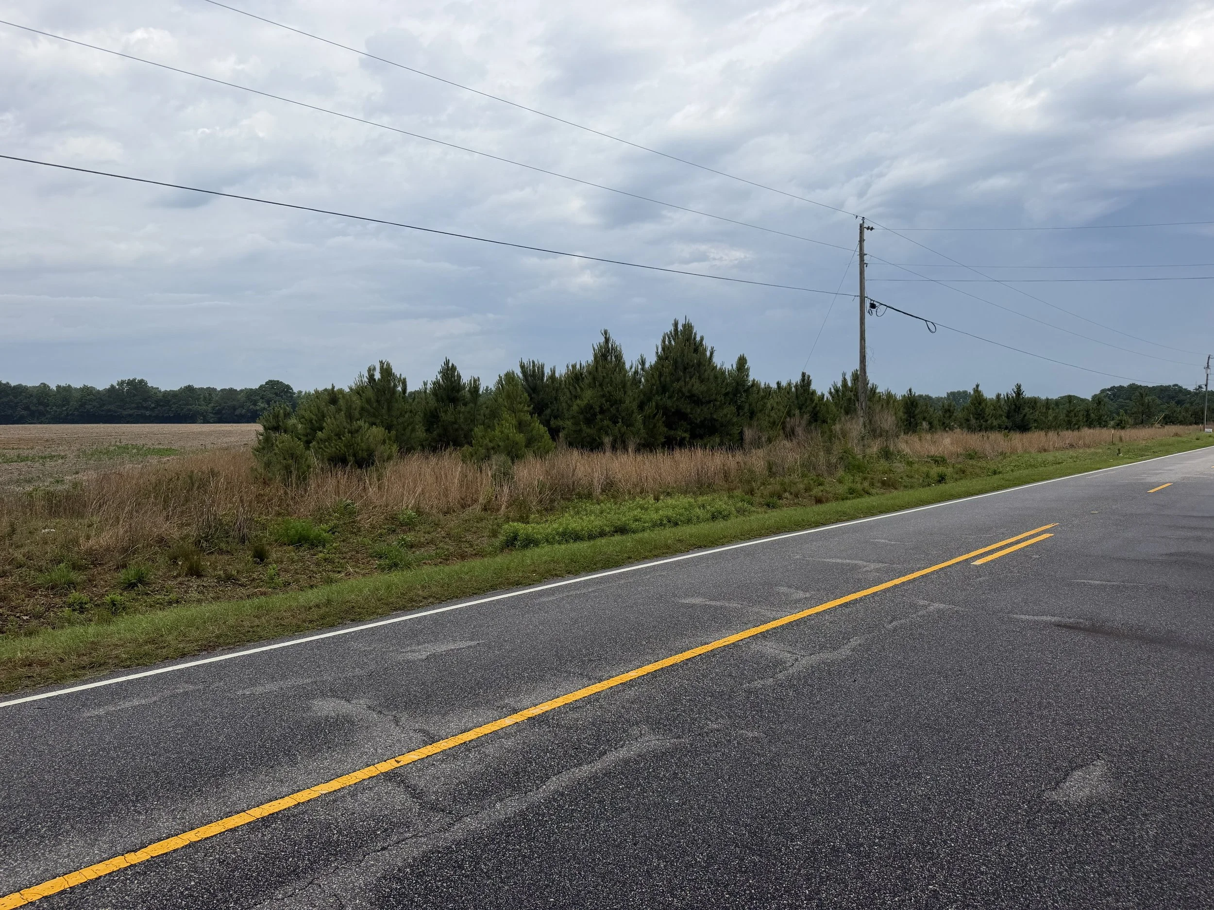 IMG_4463 fairley rd 5.jpg