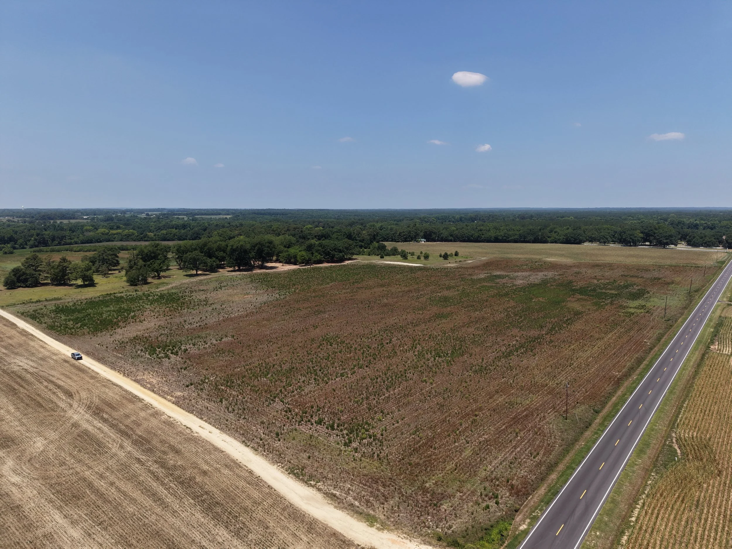 DJI_20260703122732_0791_D.JPG