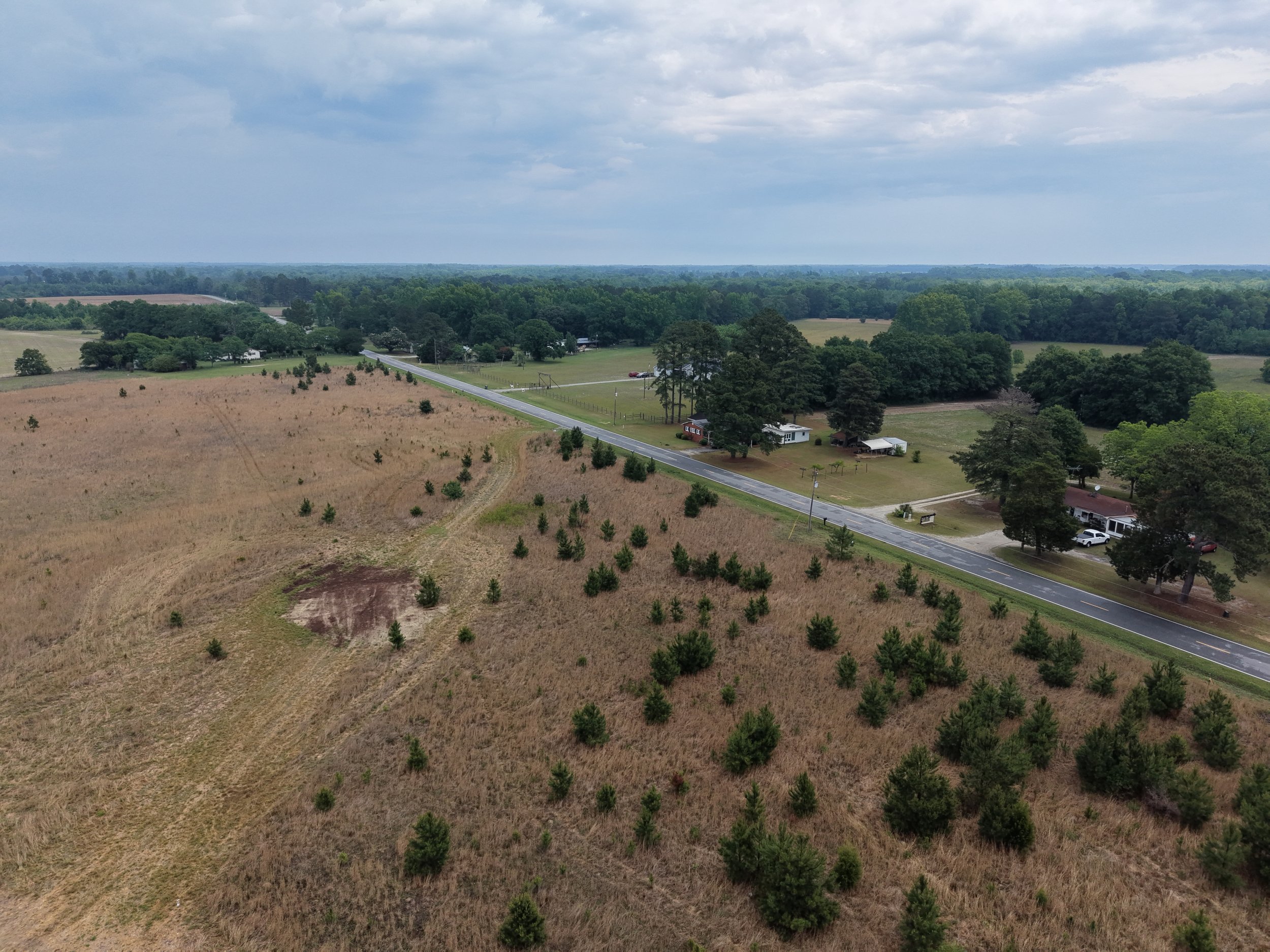 DJI_20260511115954_0337_D.JPG