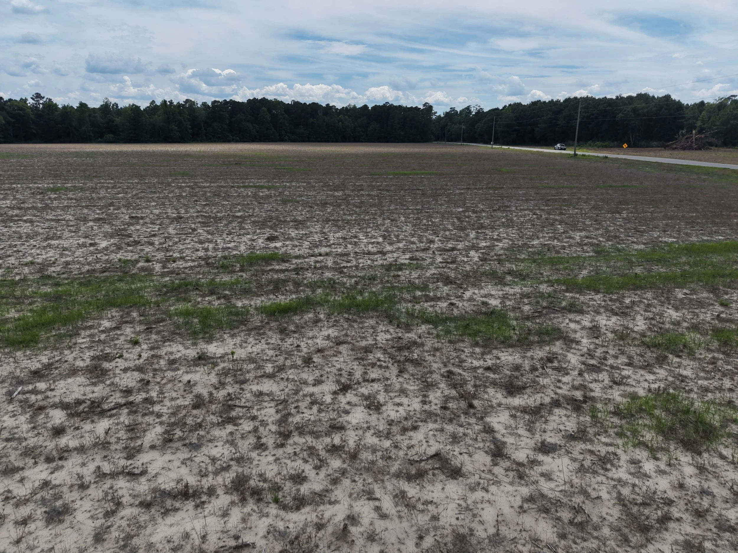 DJI_20260607142242_0622_D.JPG