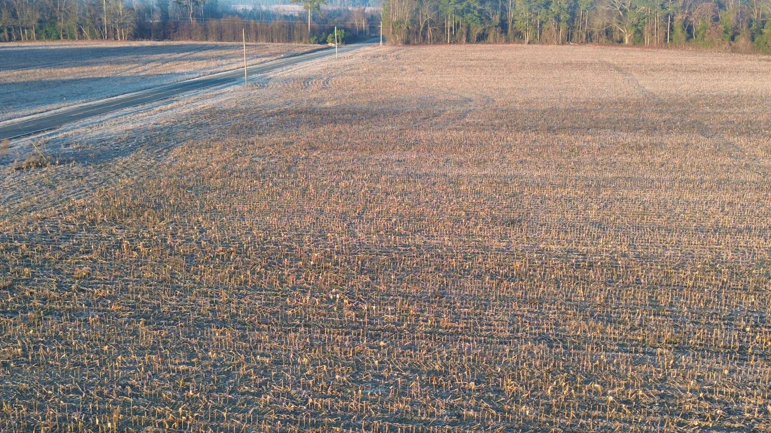 DJI_0340.JPG