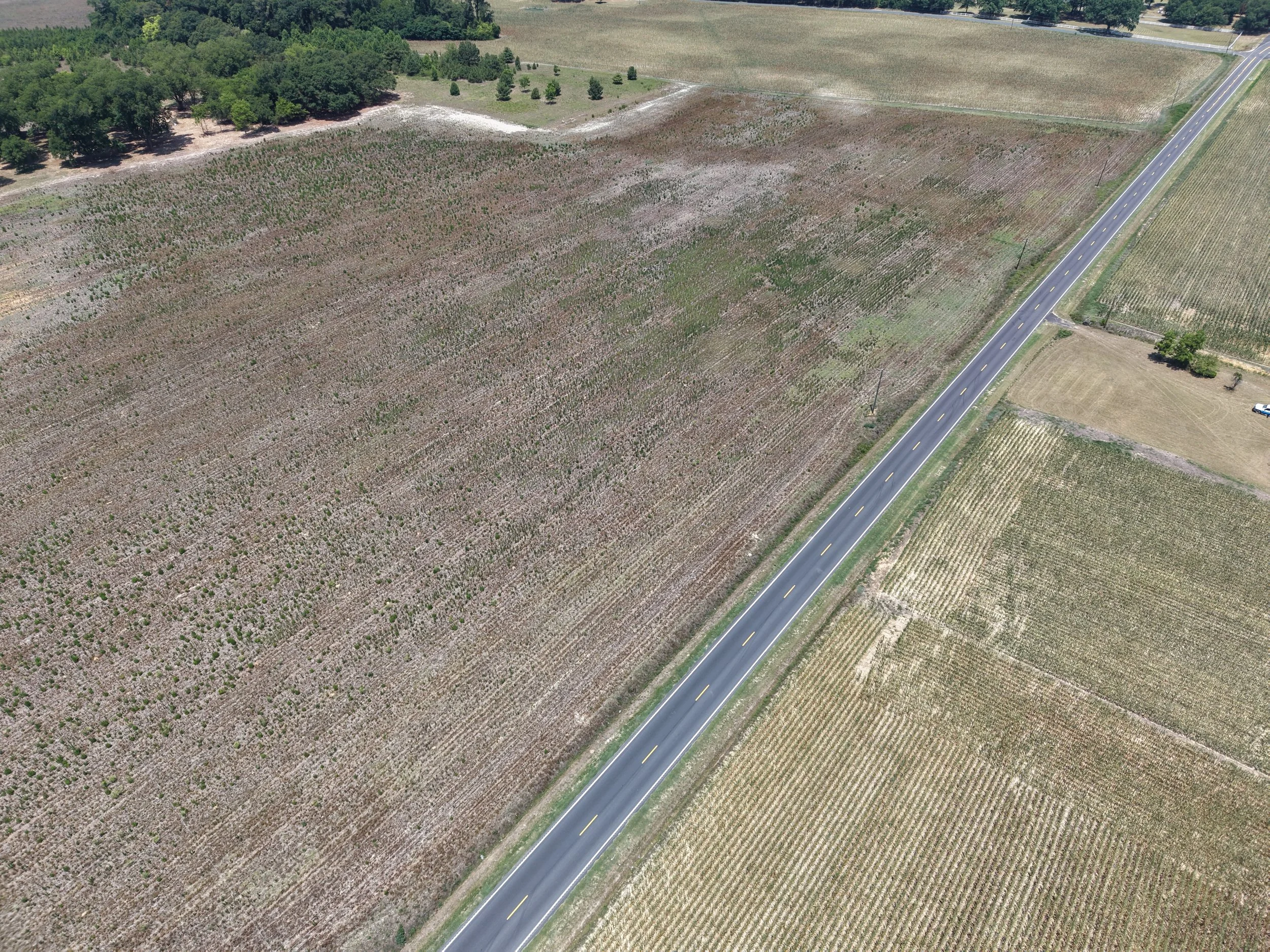 DJI_20260703122759_0797_D.JPG