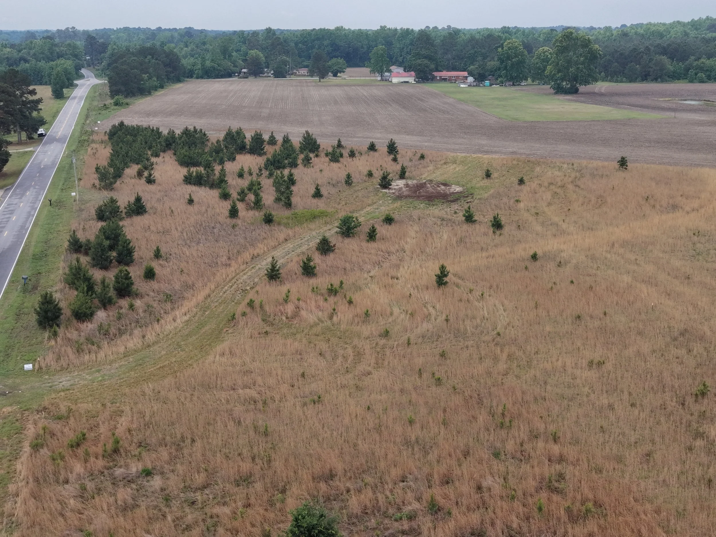DJI_20260511115901_0326_D.JPG