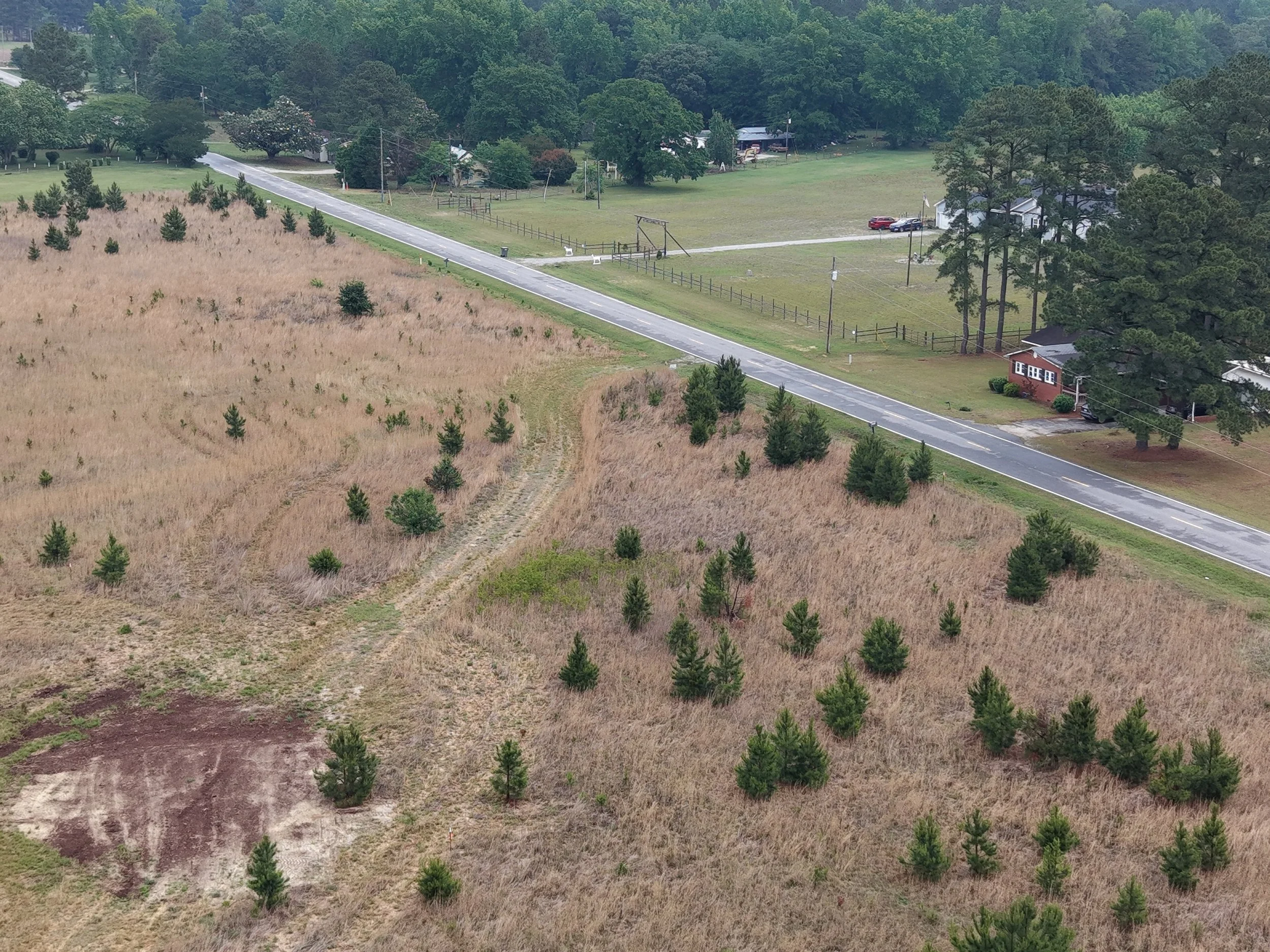 DJI_20260511115950_0335_D.JPG