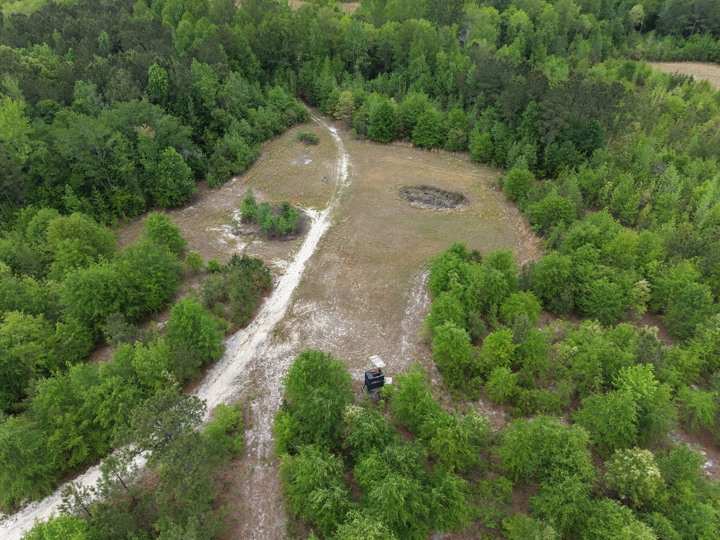 DJI_20260419105836_0073_D.JPG