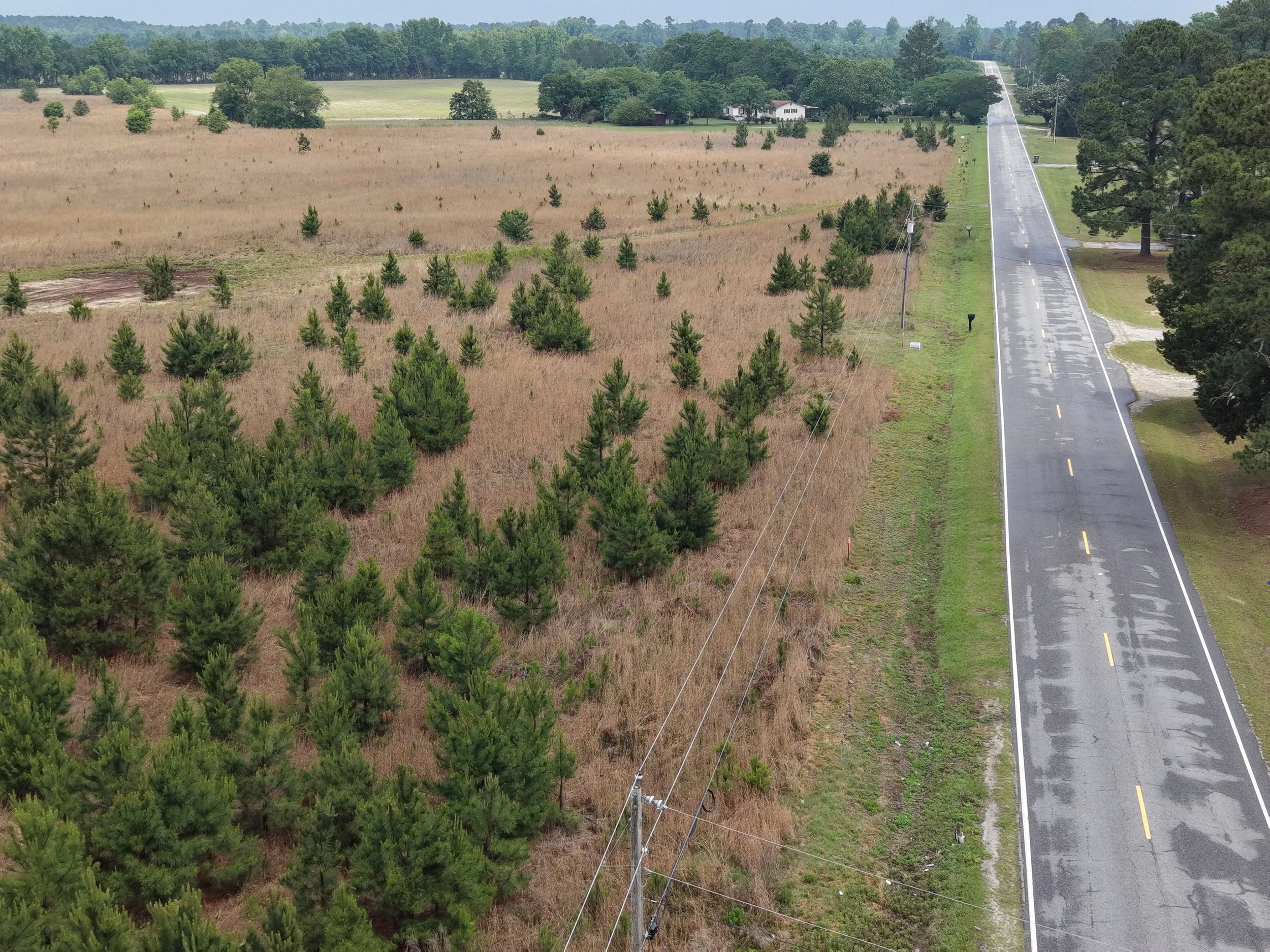 DJI_20260511115747_0309_D.JPG