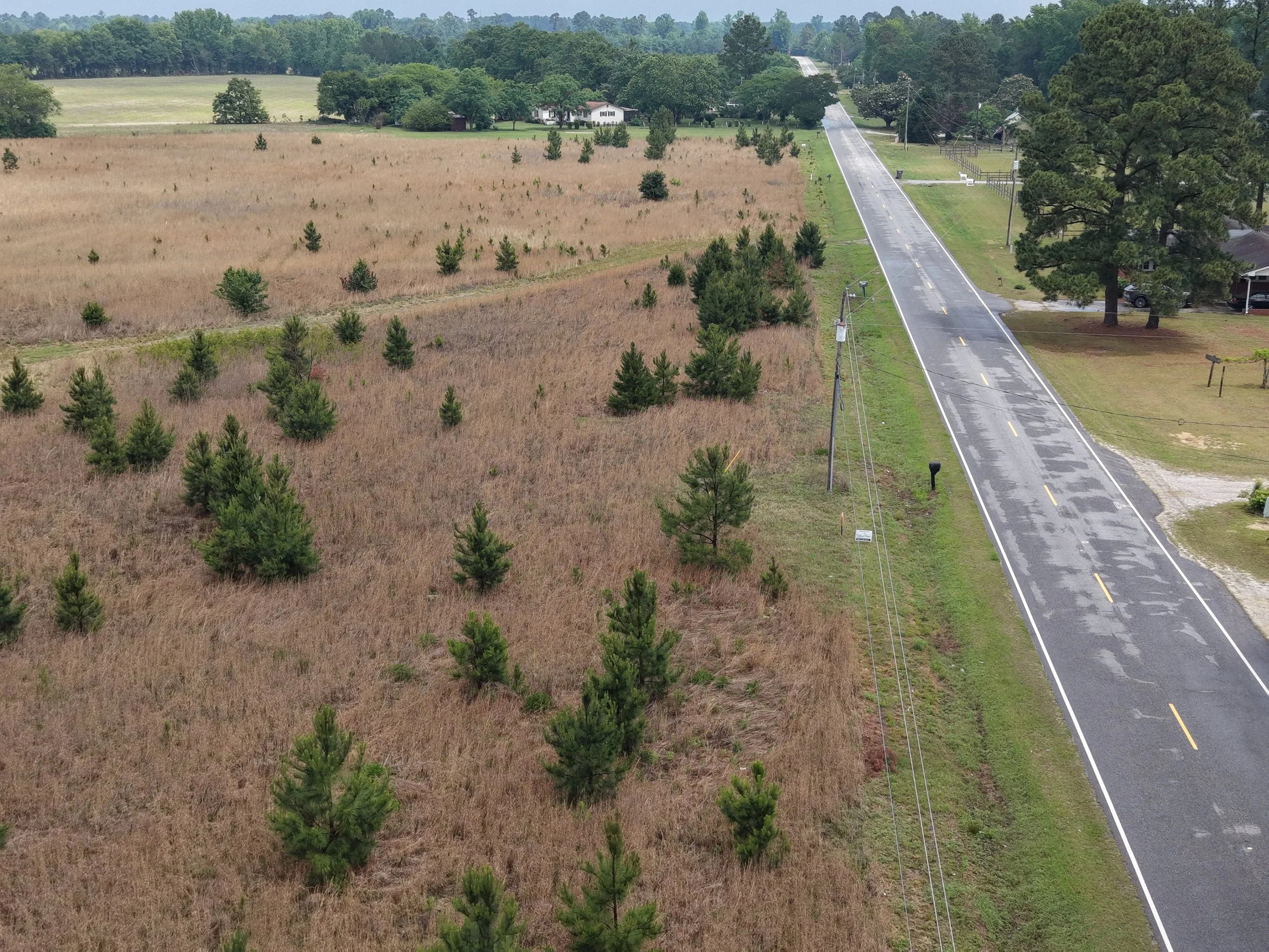 DJI_20260511115752_0311_D.JPG