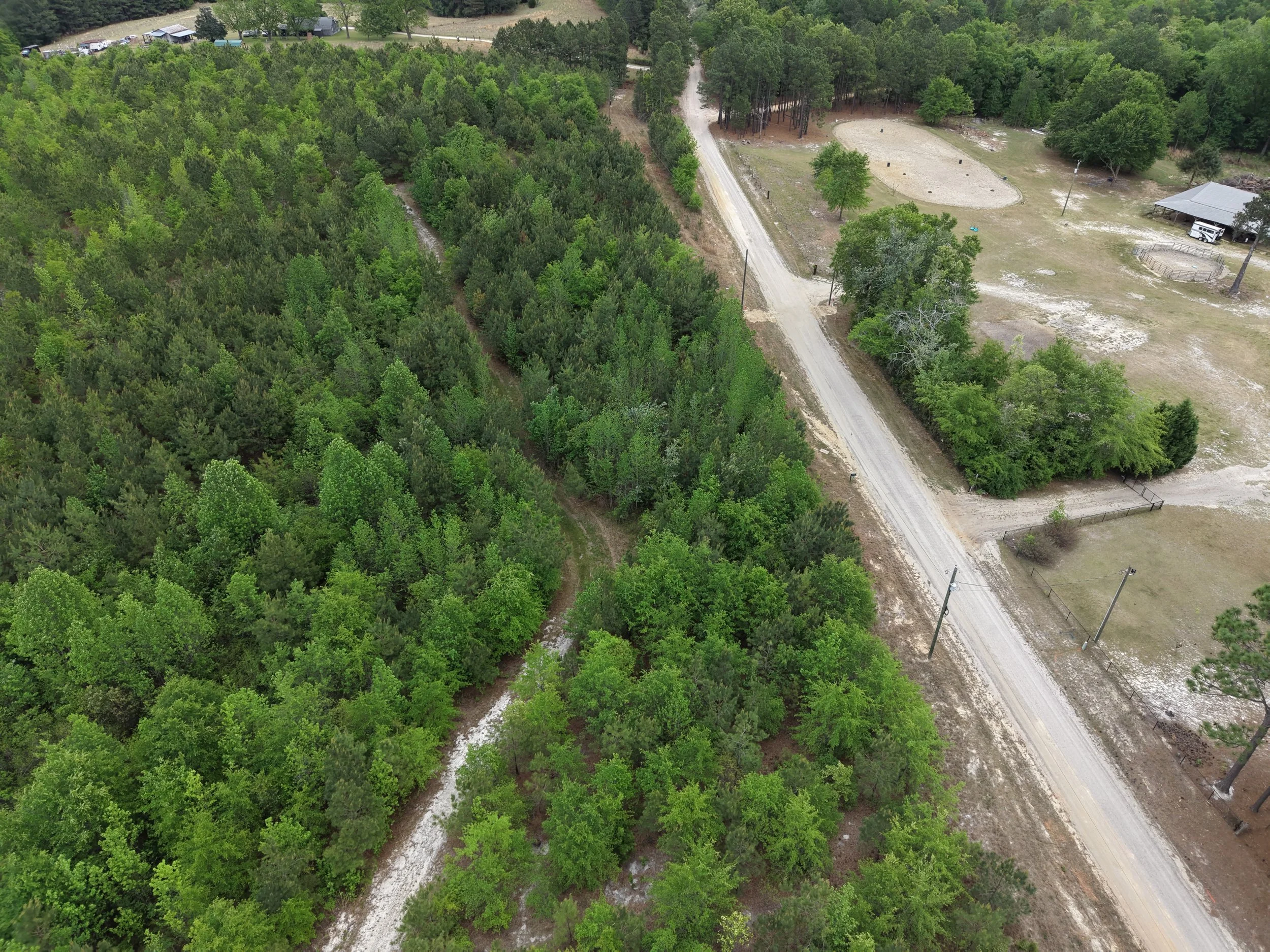 DJI_20260419105300_0033_D.JPG