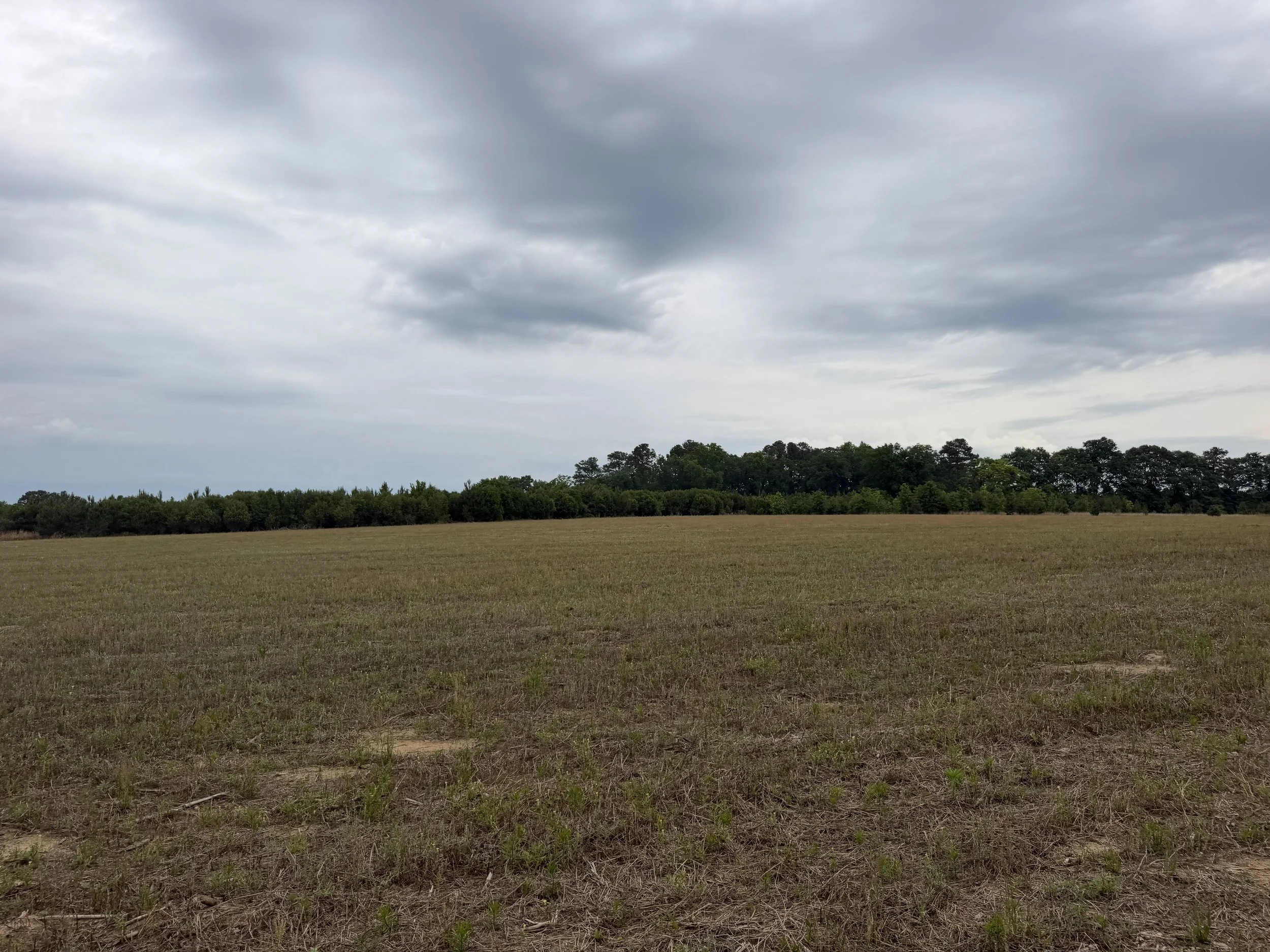 IMG_4382 20acre lots.jpg