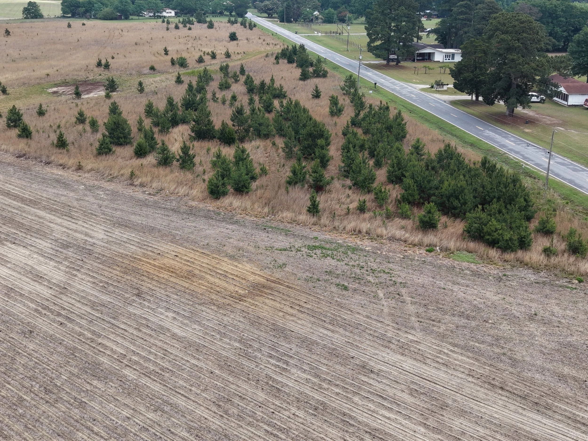 DJI_20260511115645_0301_D.JPG