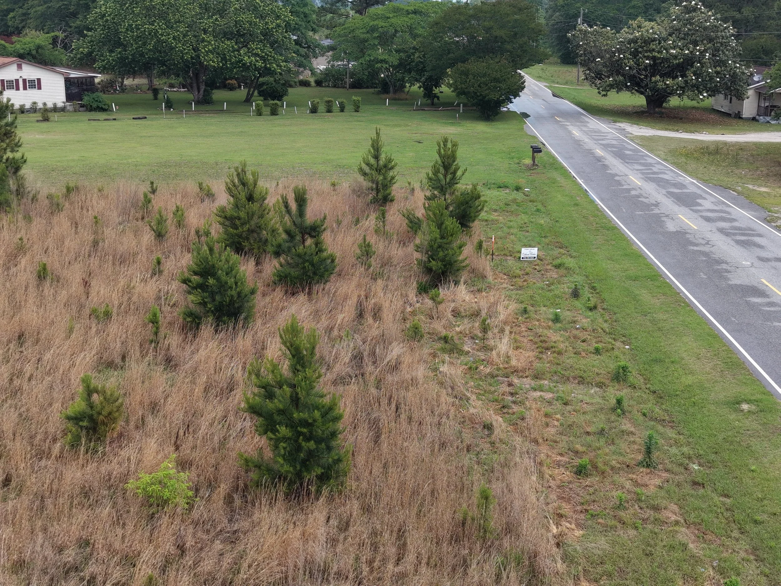 DJI_20260511115830_0319_D.JPG