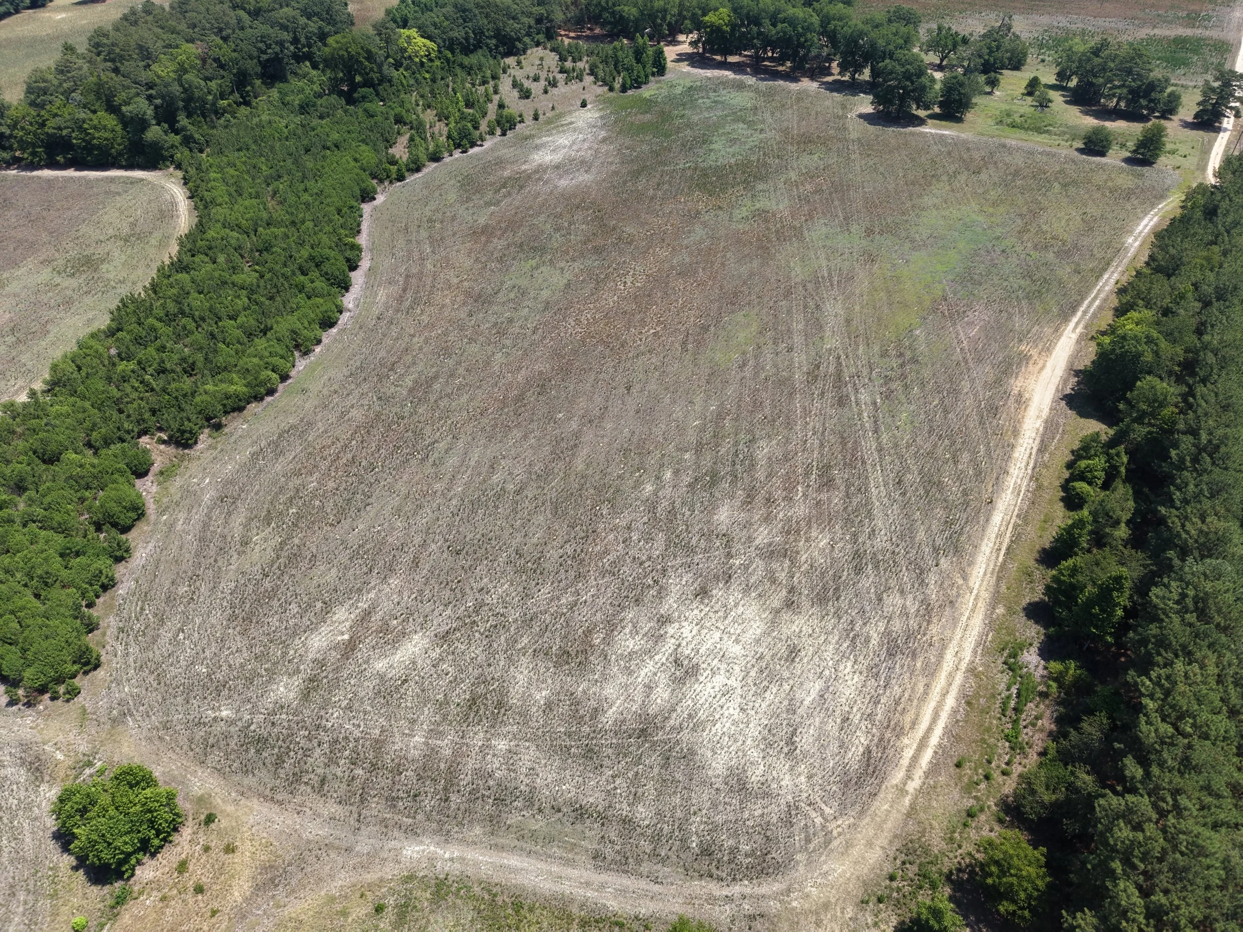DJI_20260703121054_0728_D.JPG