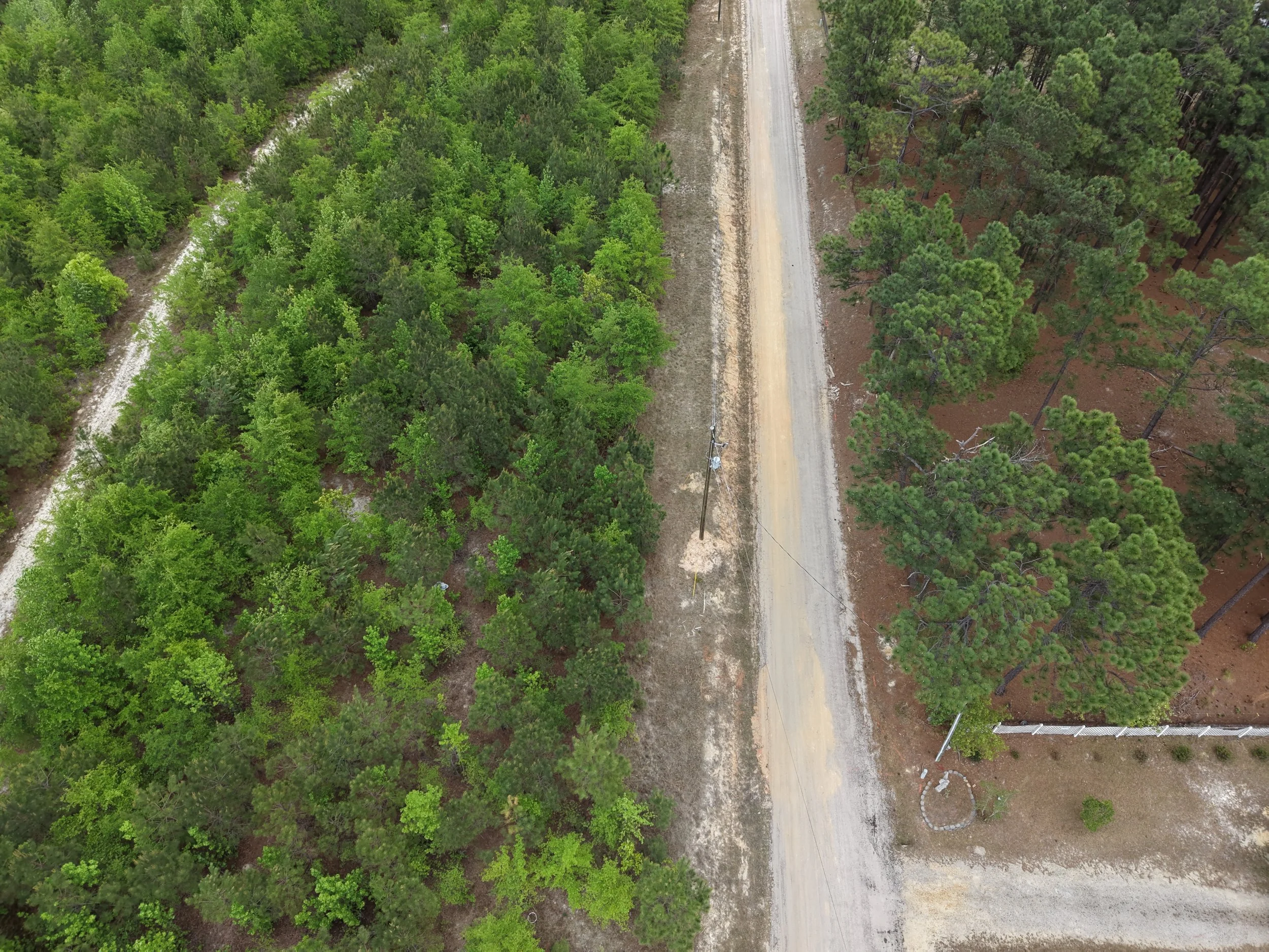 DJI_20260419105817_0071_D.JPG