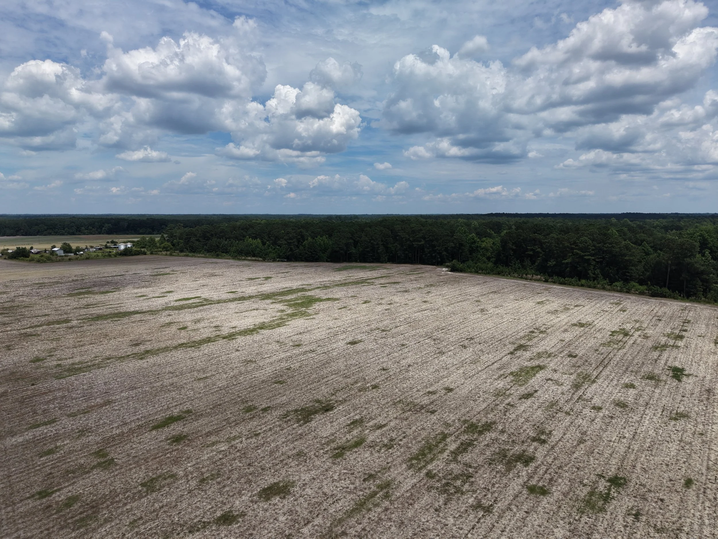 DJI_20260607141903_0590_D.JPG