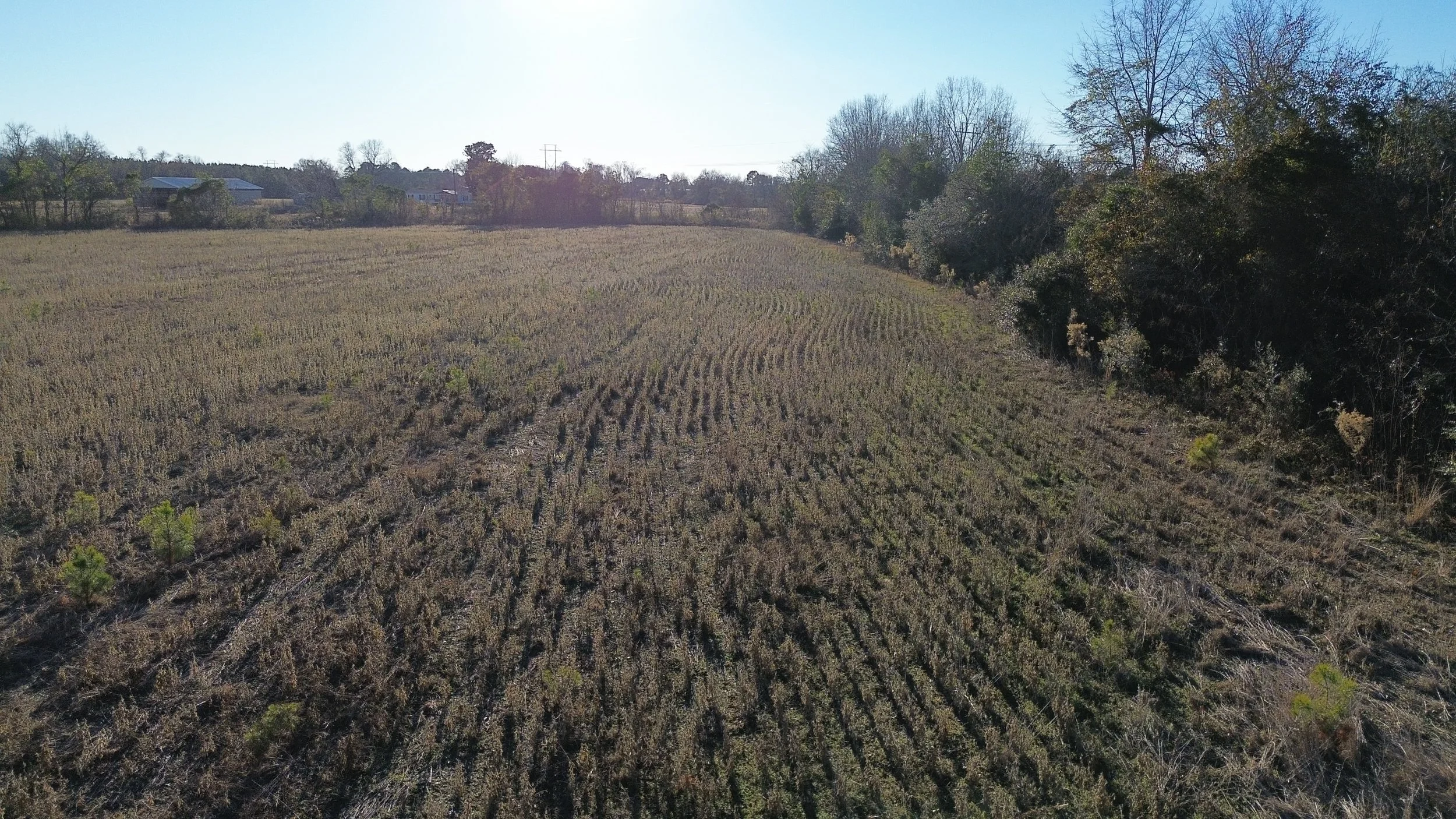 DJI_0218.JPG