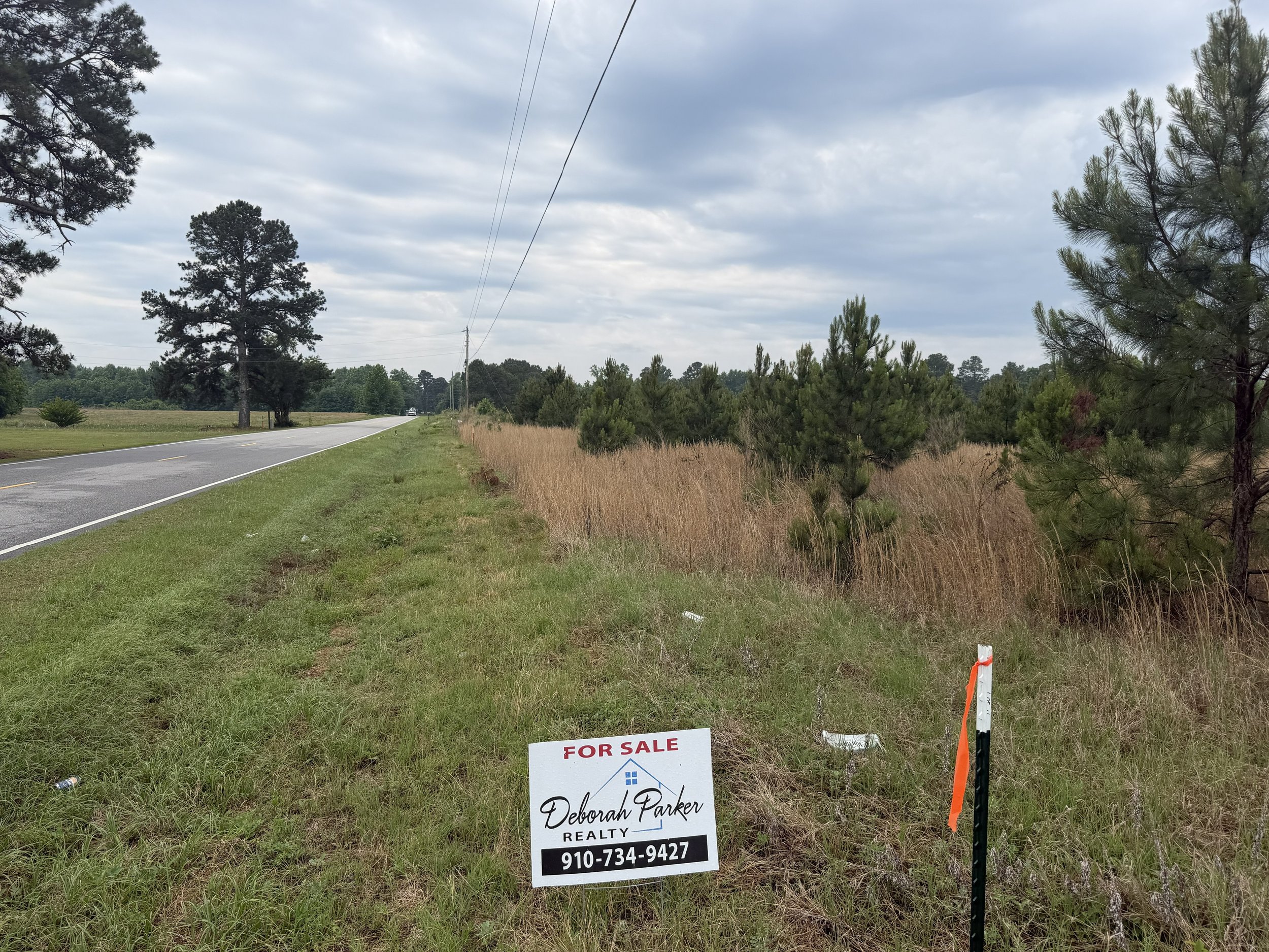 IMG_4485 fairly rd 10.jpg