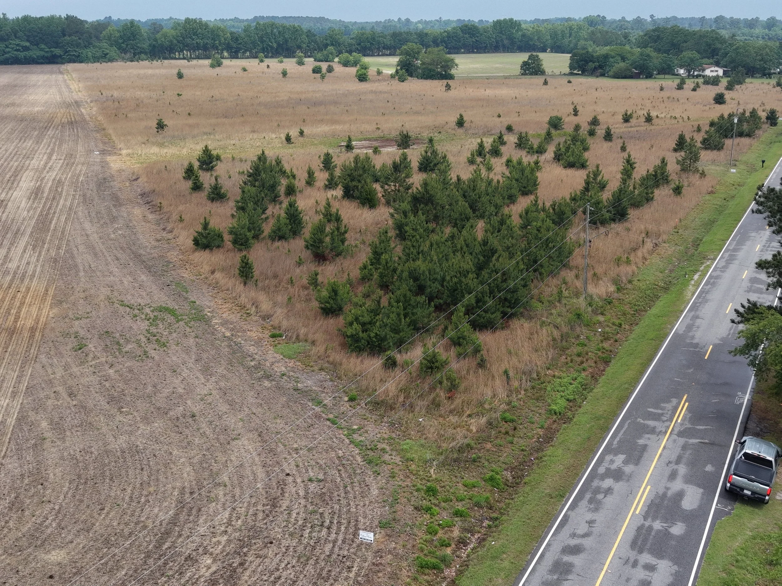 DJI_20260511115743_0308_D.JPG