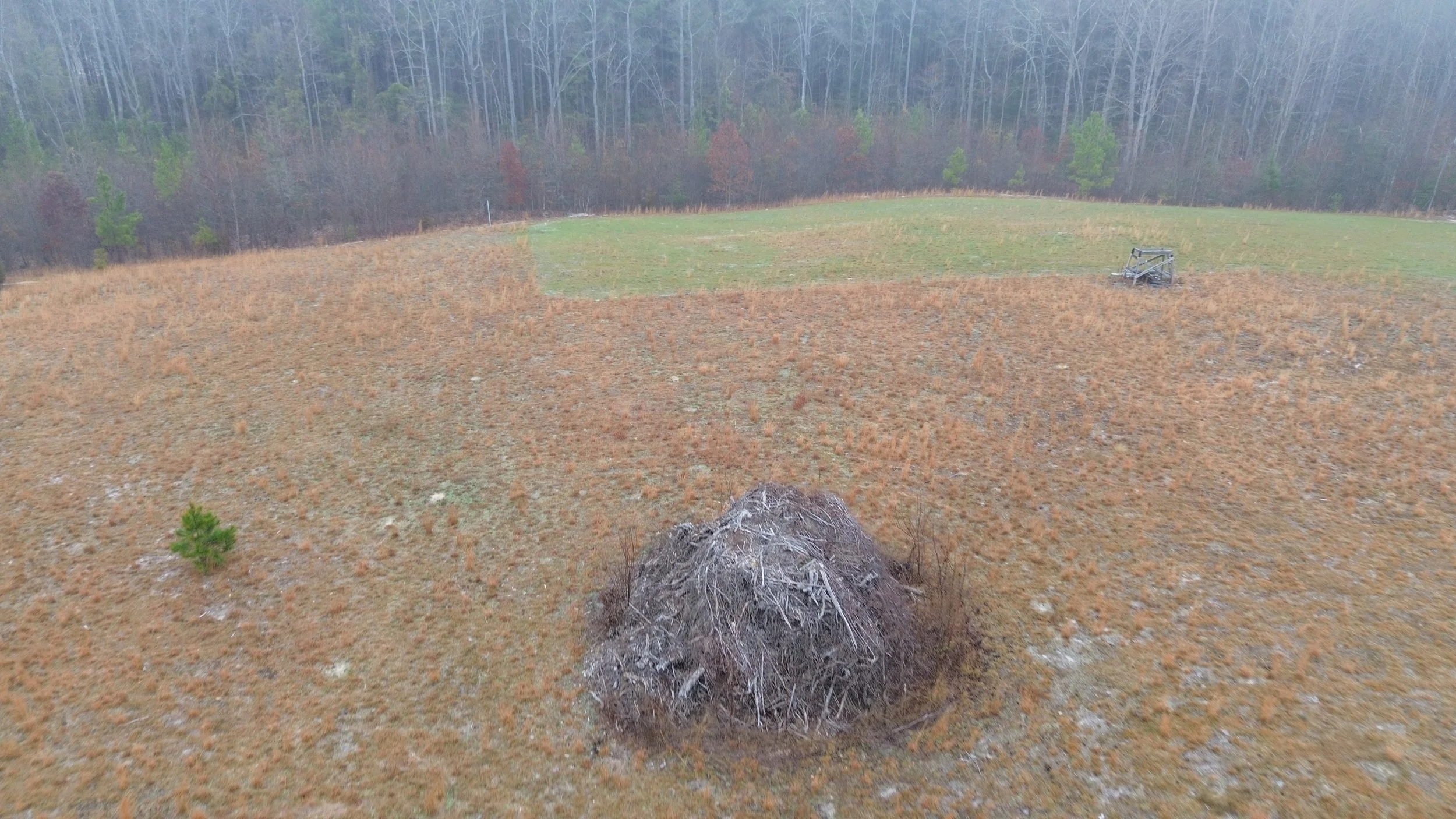 DJI_0584.JPG