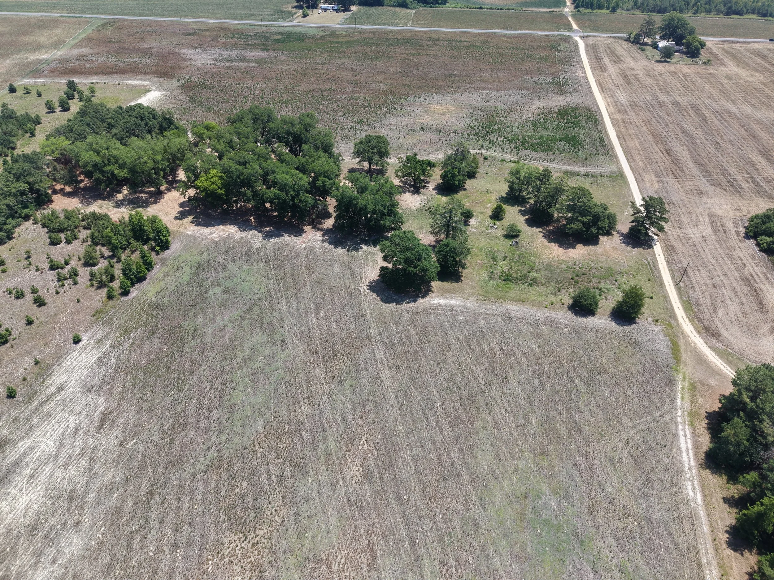 DJI_20260703121107_0731_D.JPG