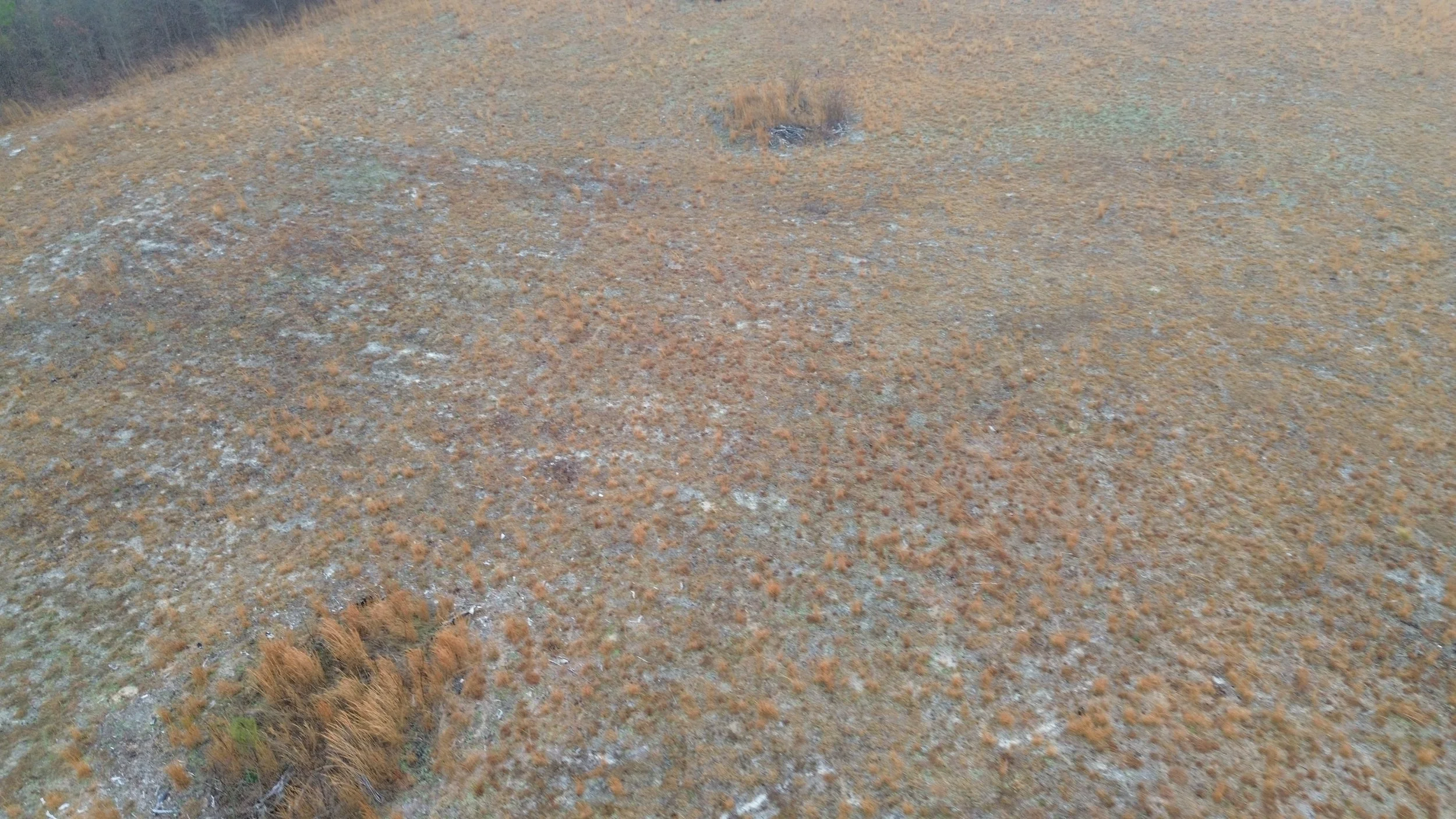 DJI_0586.JPG