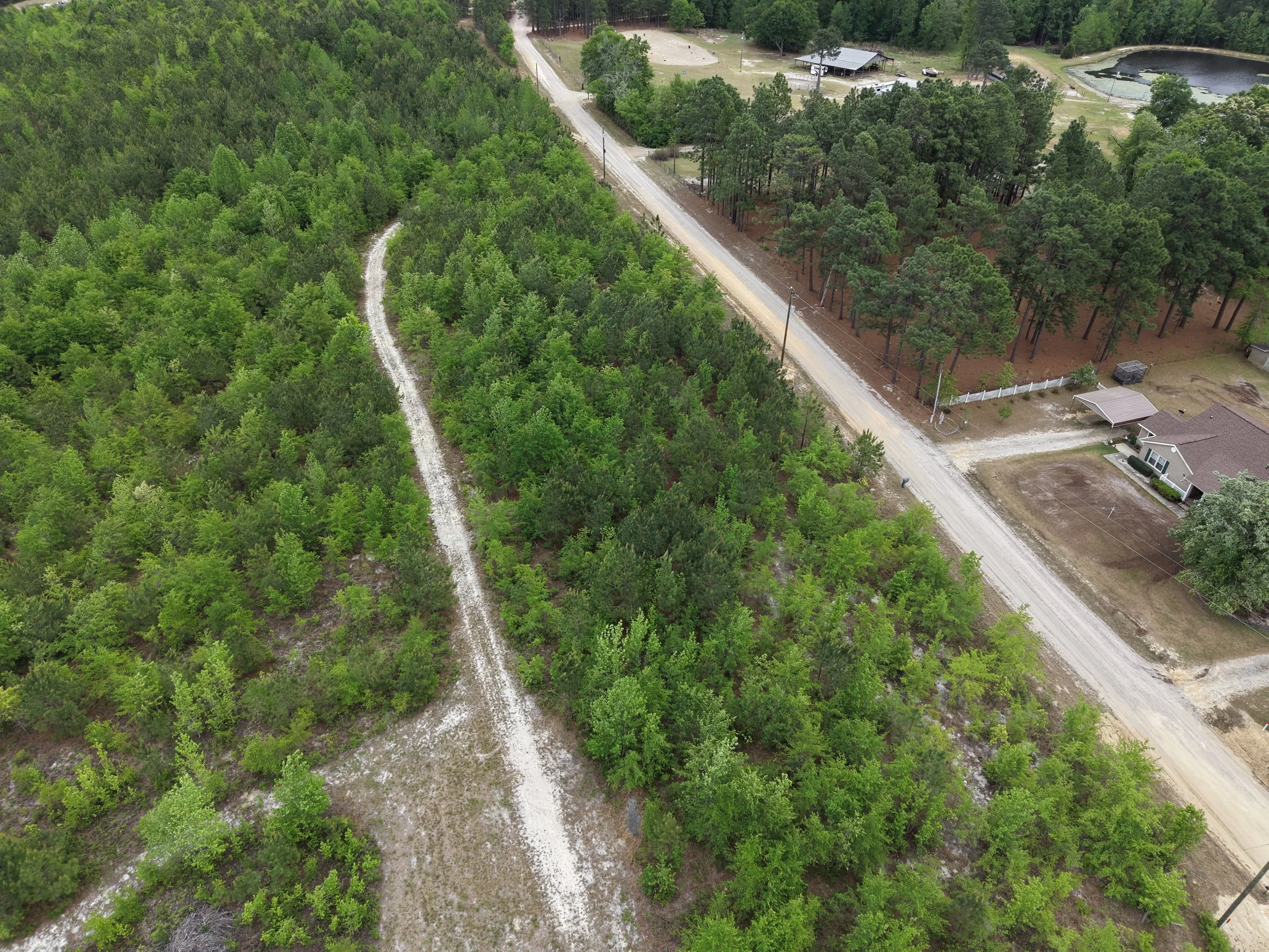DJI_20260419105251_0030_D.JPG
